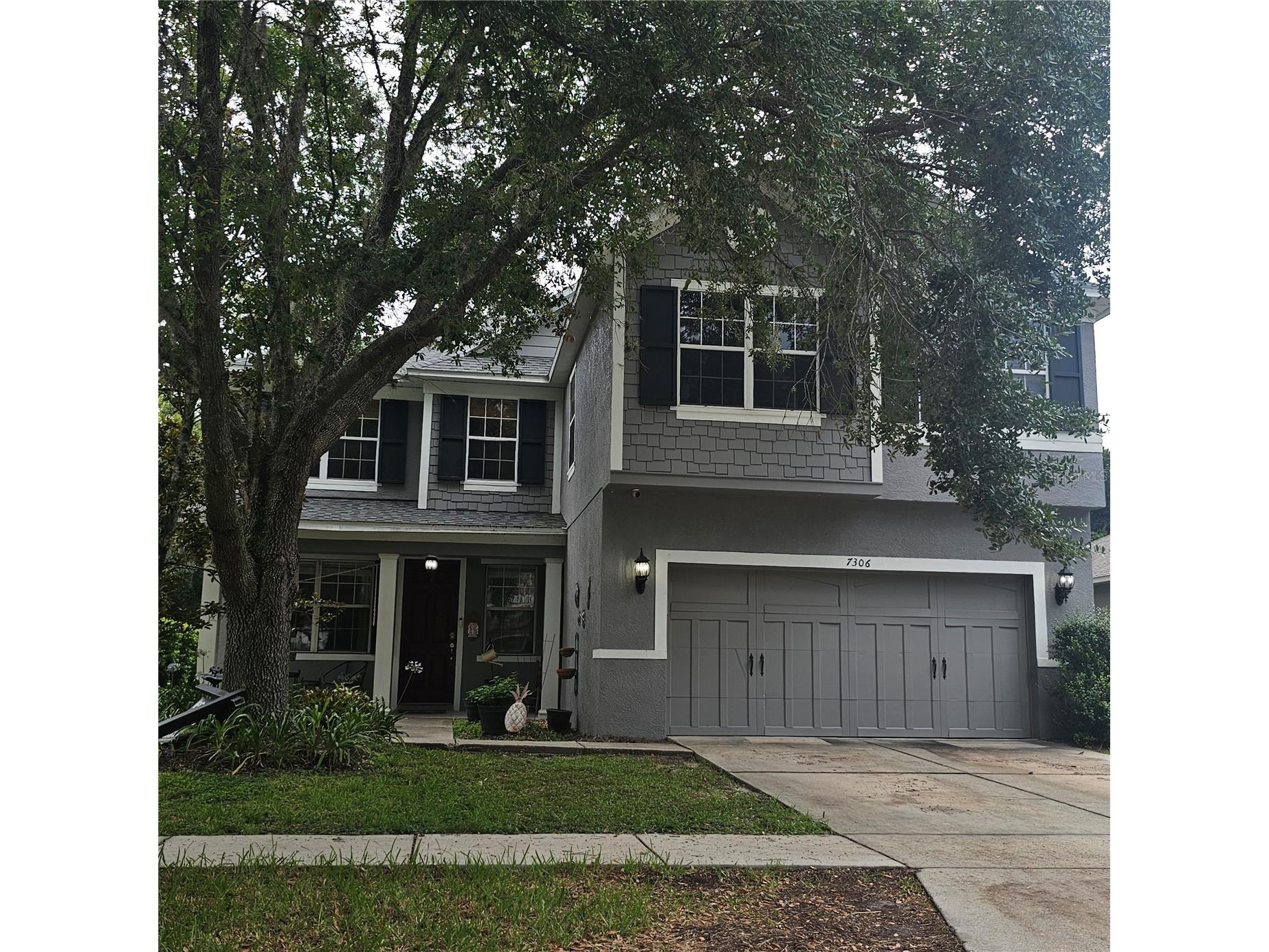 7306 Bridgeview Drive Wesley Chapel FL 33545 TB8523564 image2
