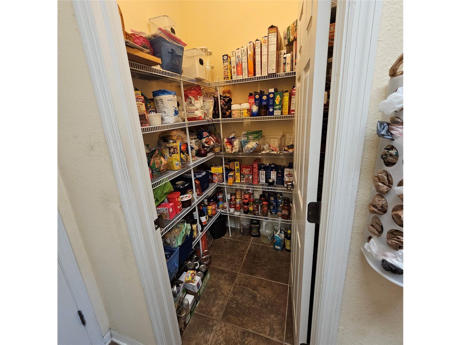 7306 Bridgeview Drive Wesley Chapel FL 33545 TB8523564 image20