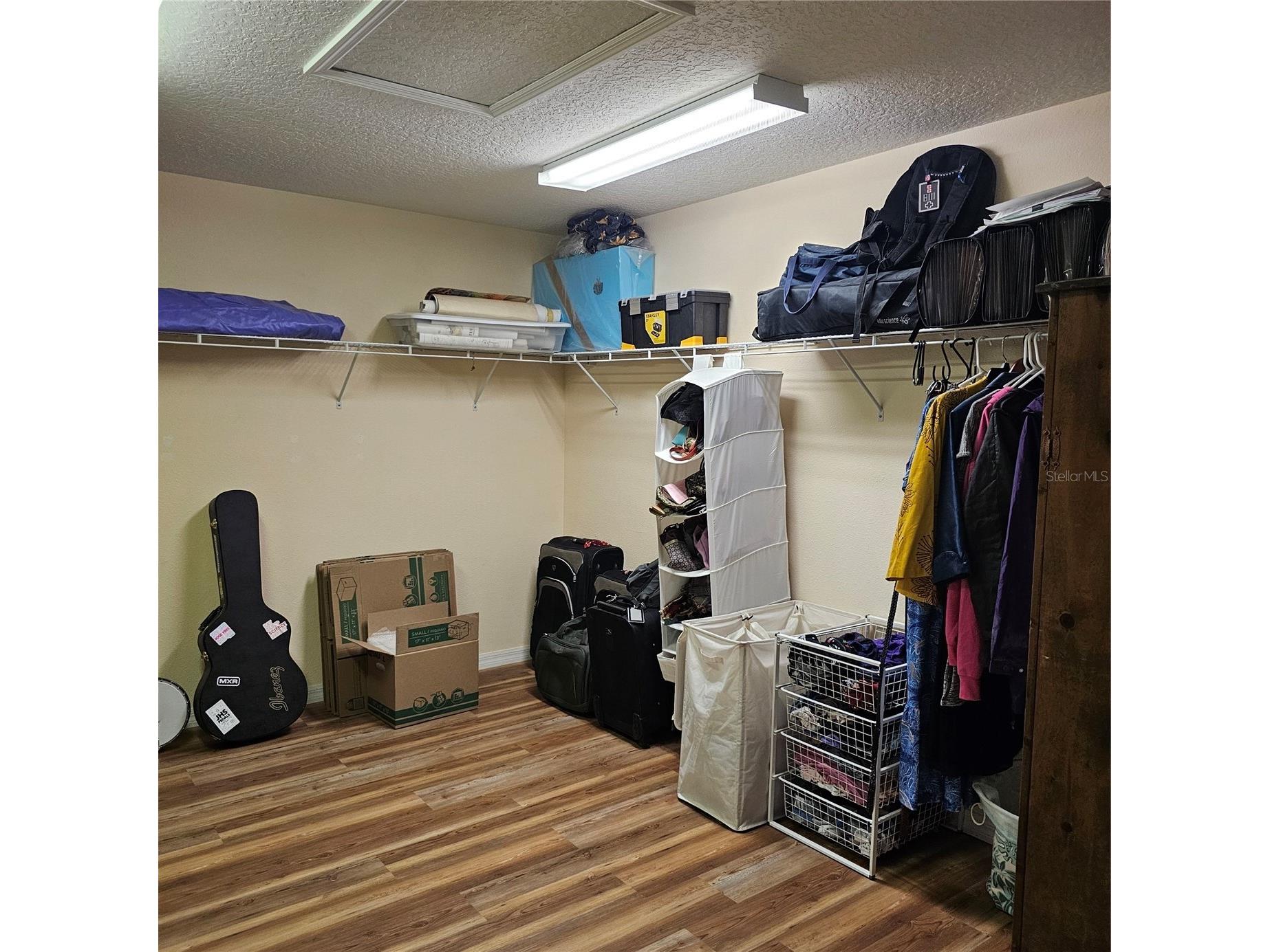 7306 Bridgeview Drive Wesley Chapel FL 33545 TB8523564 image31