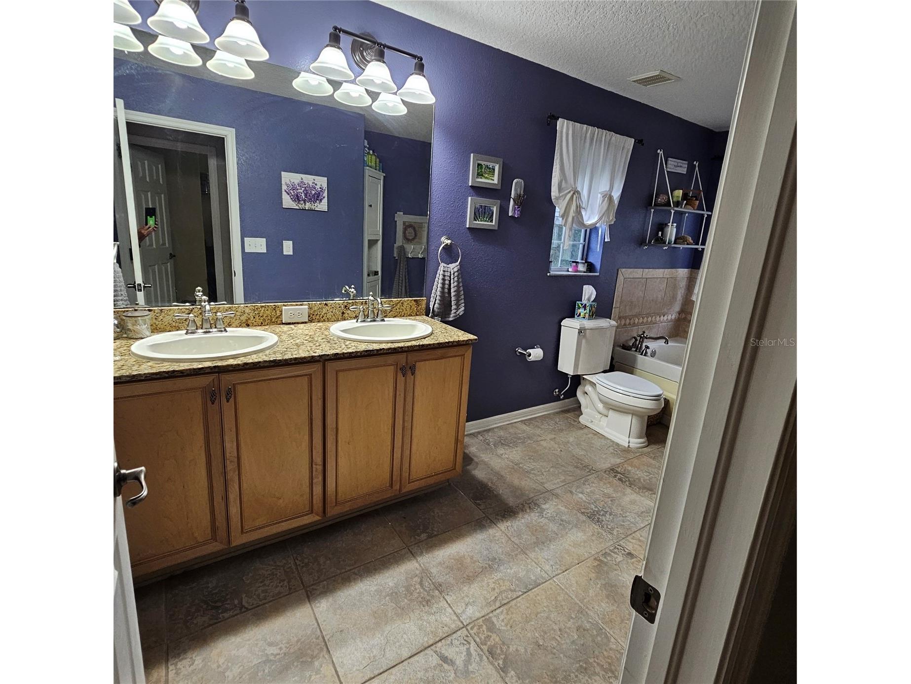 7306 Bridgeview Drive Wesley Chapel FL 33545 TB8523564 image32
