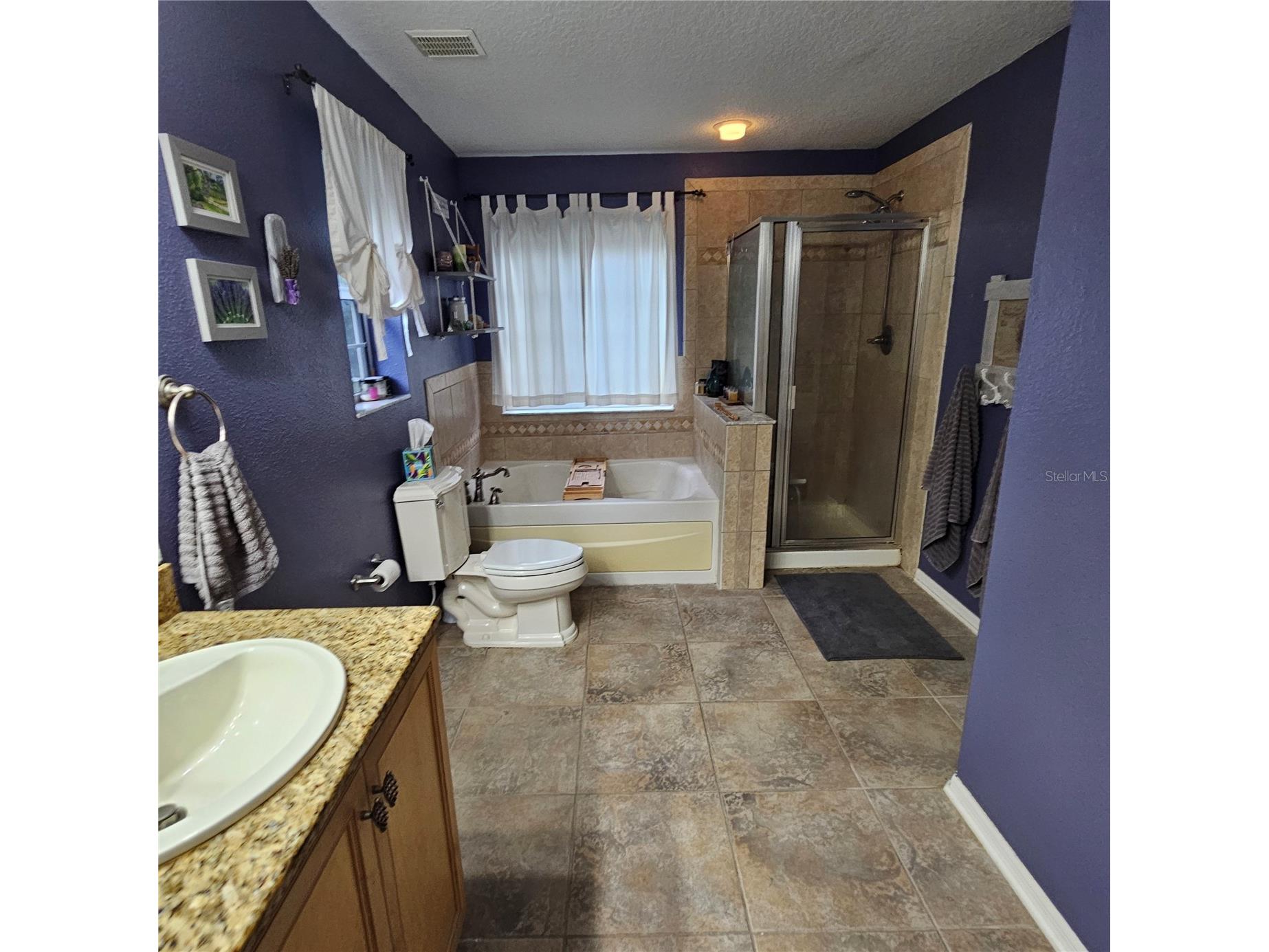 7306 Bridgeview Drive Wesley Chapel FL 33545 TB8523564 image33