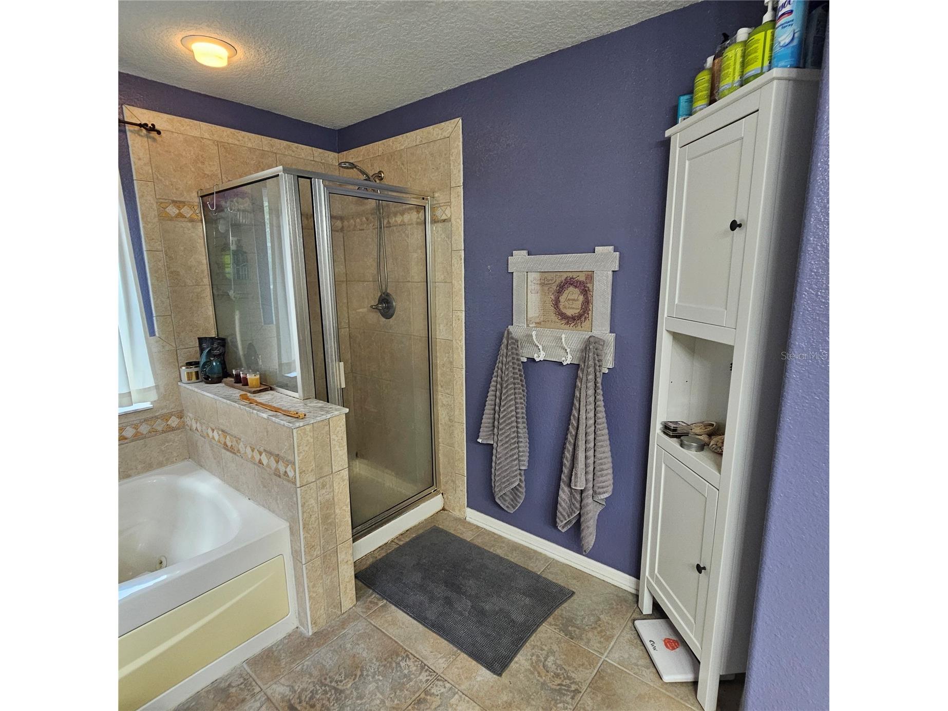 7306 Bridgeview Drive Wesley Chapel FL 33545 TB8523564 image34