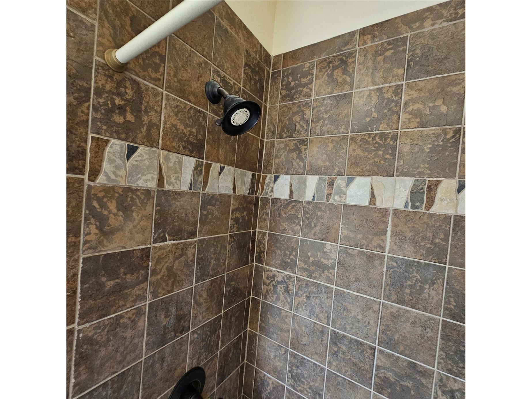 7306 Bridgeview Drive Wesley Chapel FL 33545 TB8523564 image39