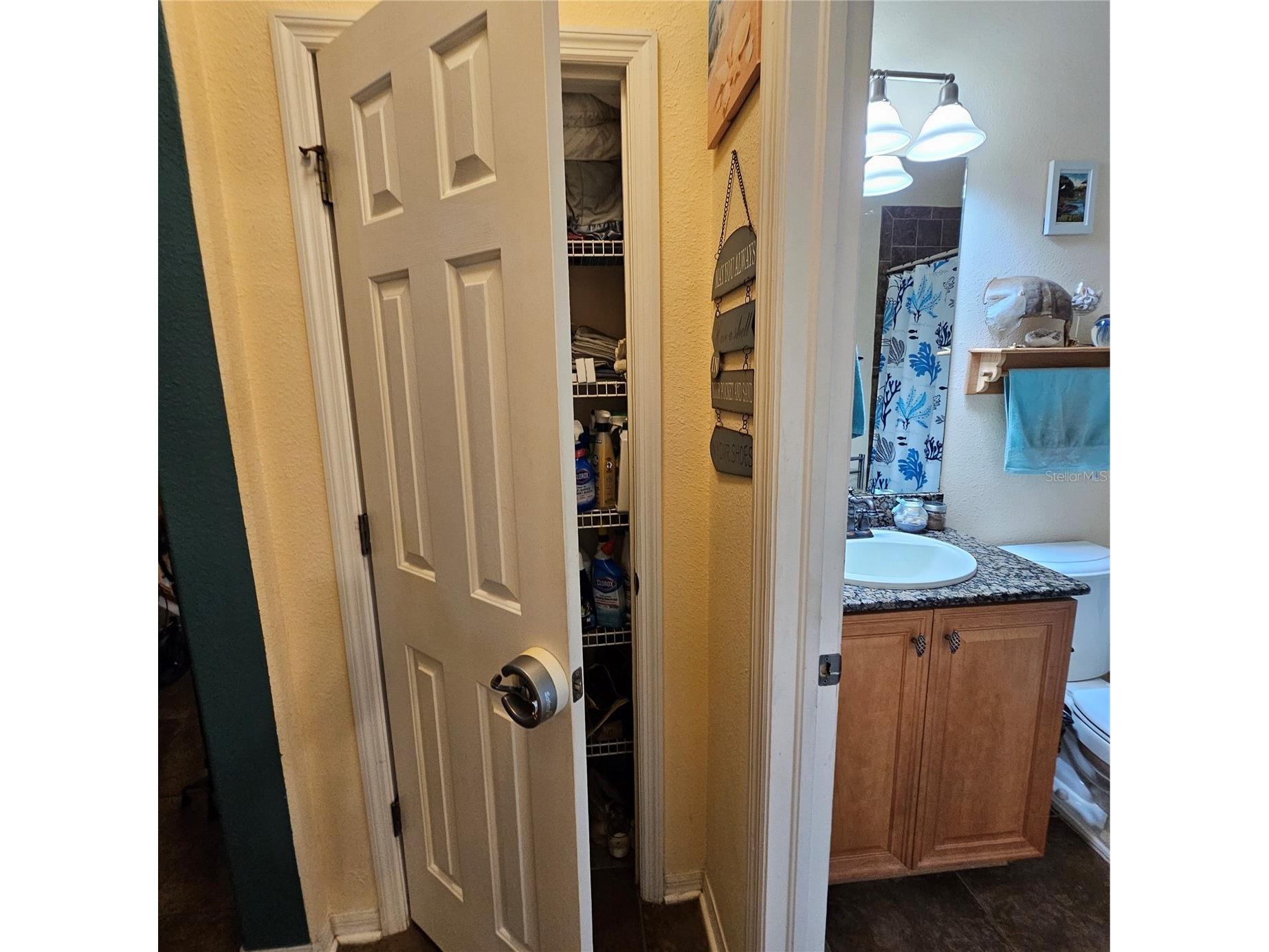 7306 Bridgeview Drive Wesley Chapel FL 33545 TB8523564 image40