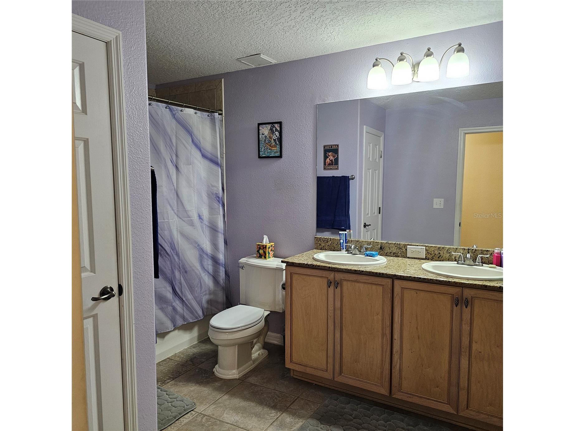 7306 Bridgeview Drive Wesley Chapel FL 33545 TB8523564 image48