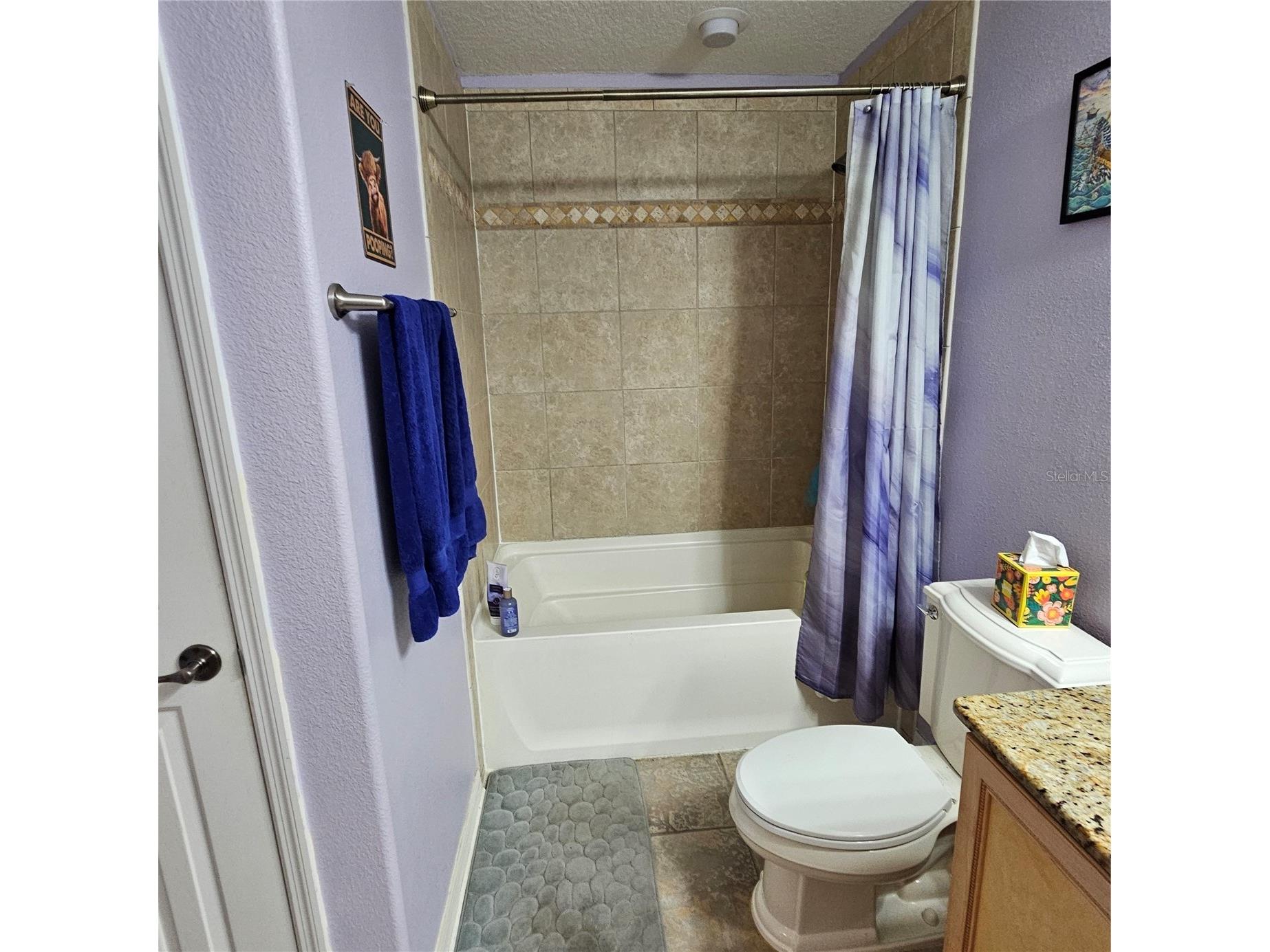 7306 Bridgeview Drive Wesley Chapel FL 33545 TB8523564 image49