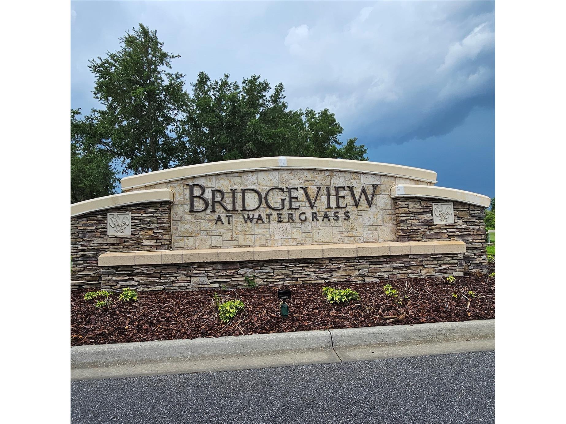 7306 Bridgeview Drive Wesley Chapel FL 33545 TB8523564 image53