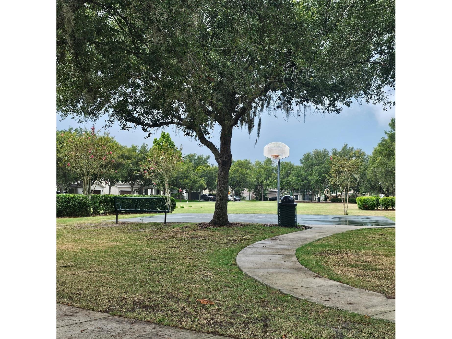 7306 Bridgeview Drive Wesley Chapel FL 33545 TB8523564 image54