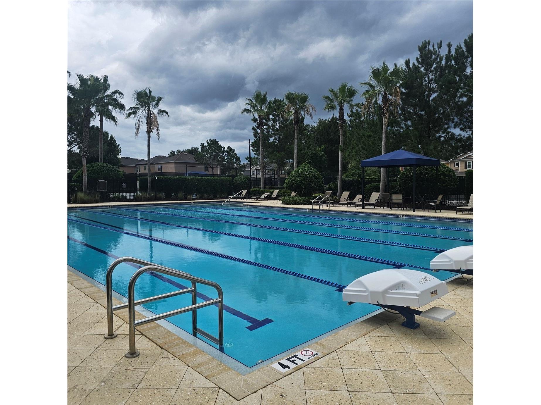 7306 Bridgeview Drive Wesley Chapel FL 33545 TB8523564 image58