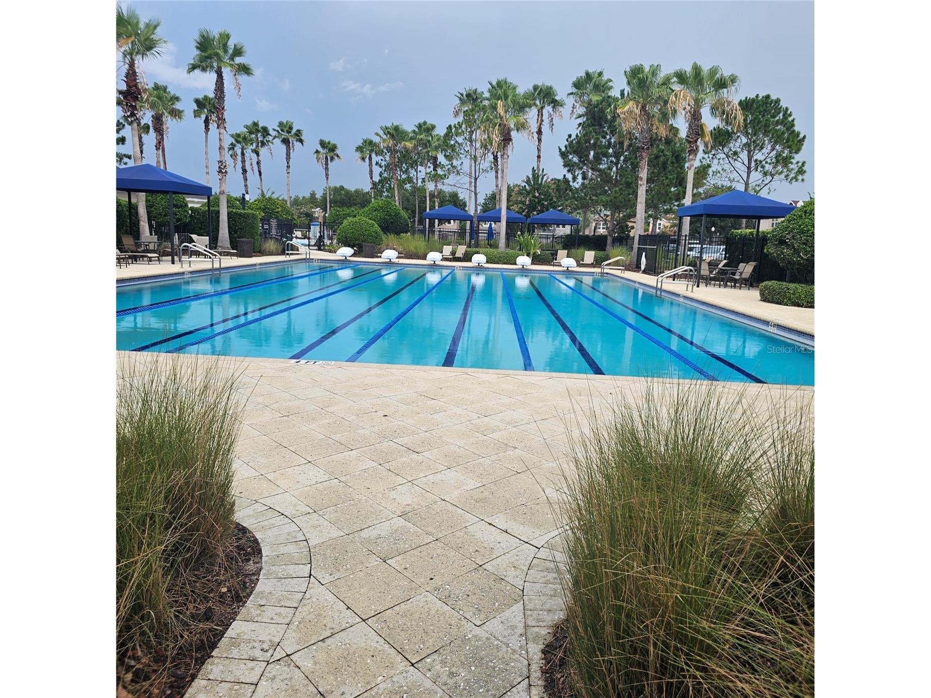 7306 Bridgeview Drive Wesley Chapel FL 33545 TB8523564 image59