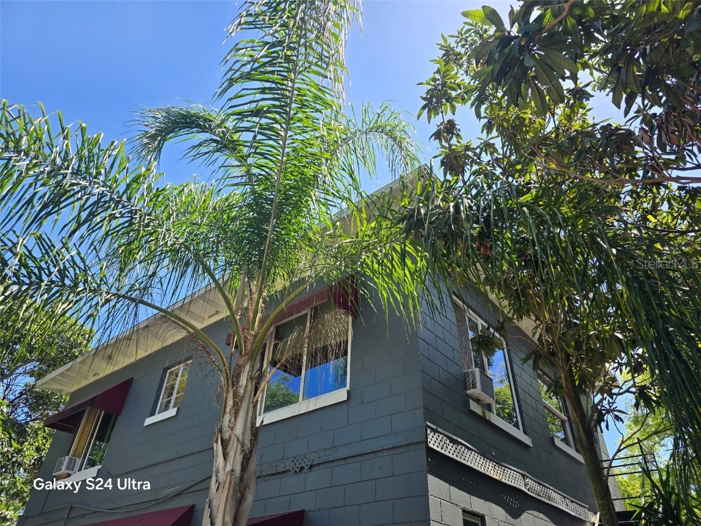 7306 Earlwood Avenue Mount Dora FL 32757 G5098135 image1