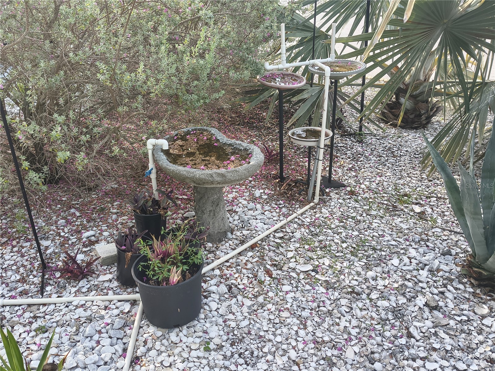 7306 Grand Pine Drive Hudson FL 34667 W7886297 image23