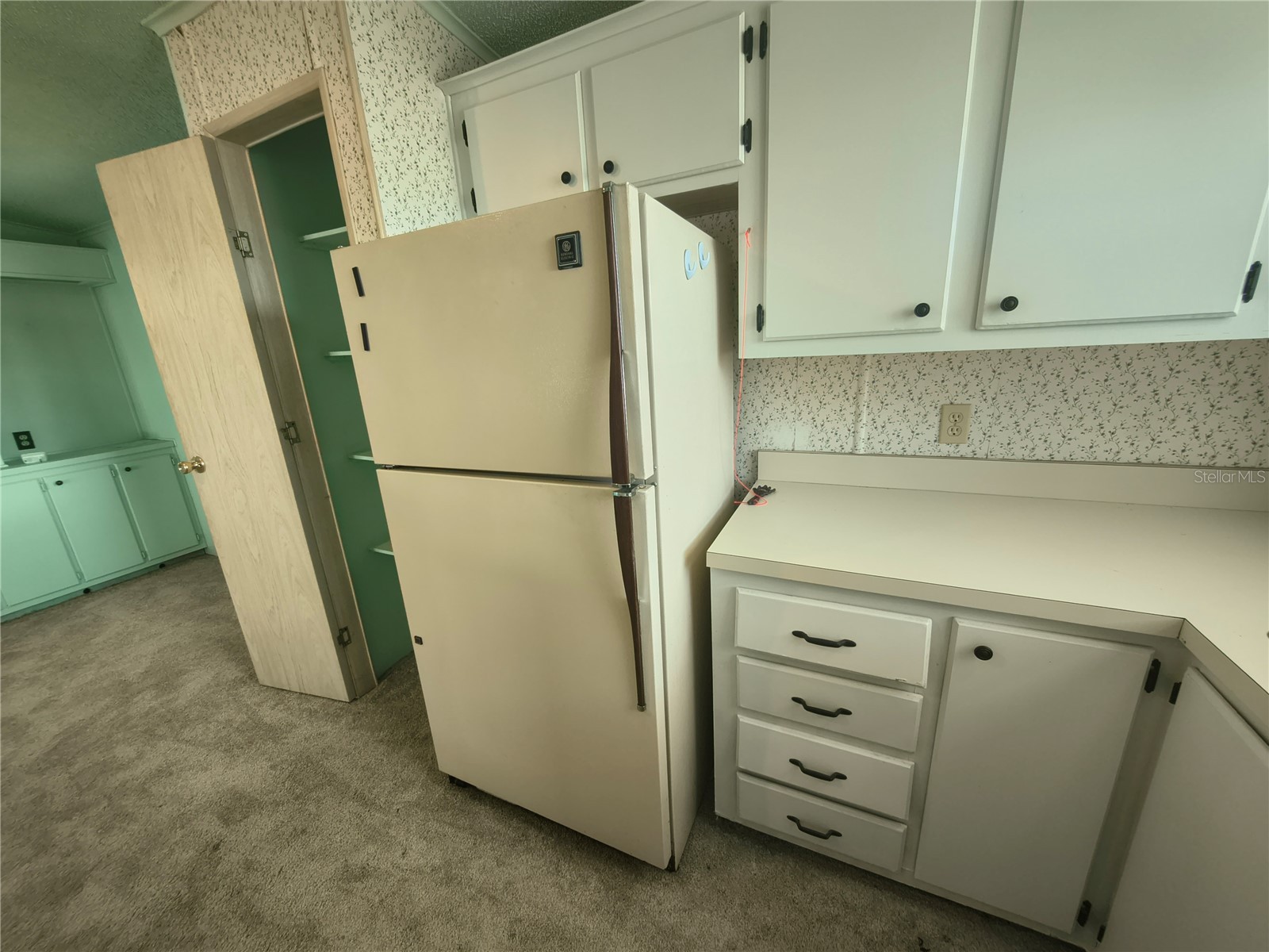 7306 Grand Pine Drive Hudson FL 34667 W7886297 image35