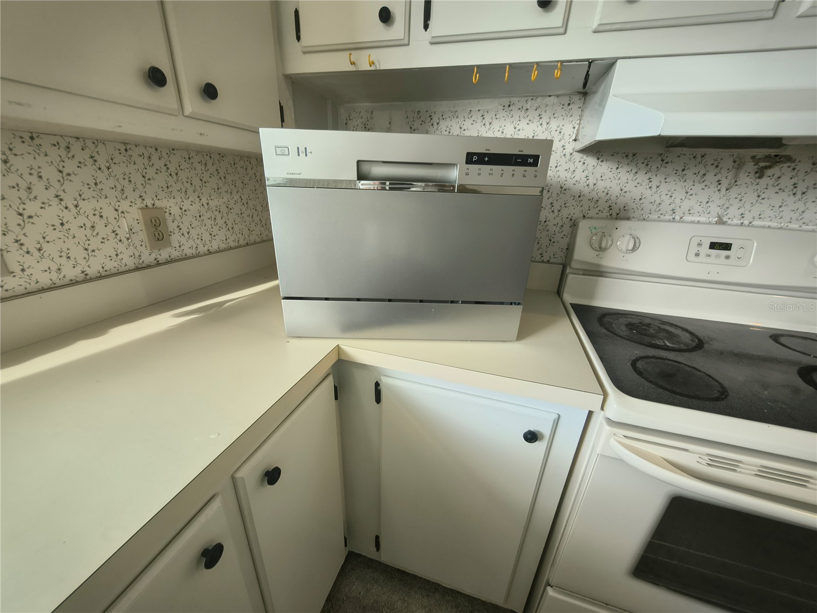 7306 Grand Pine Drive Hudson FL 34667 W7886297 image36