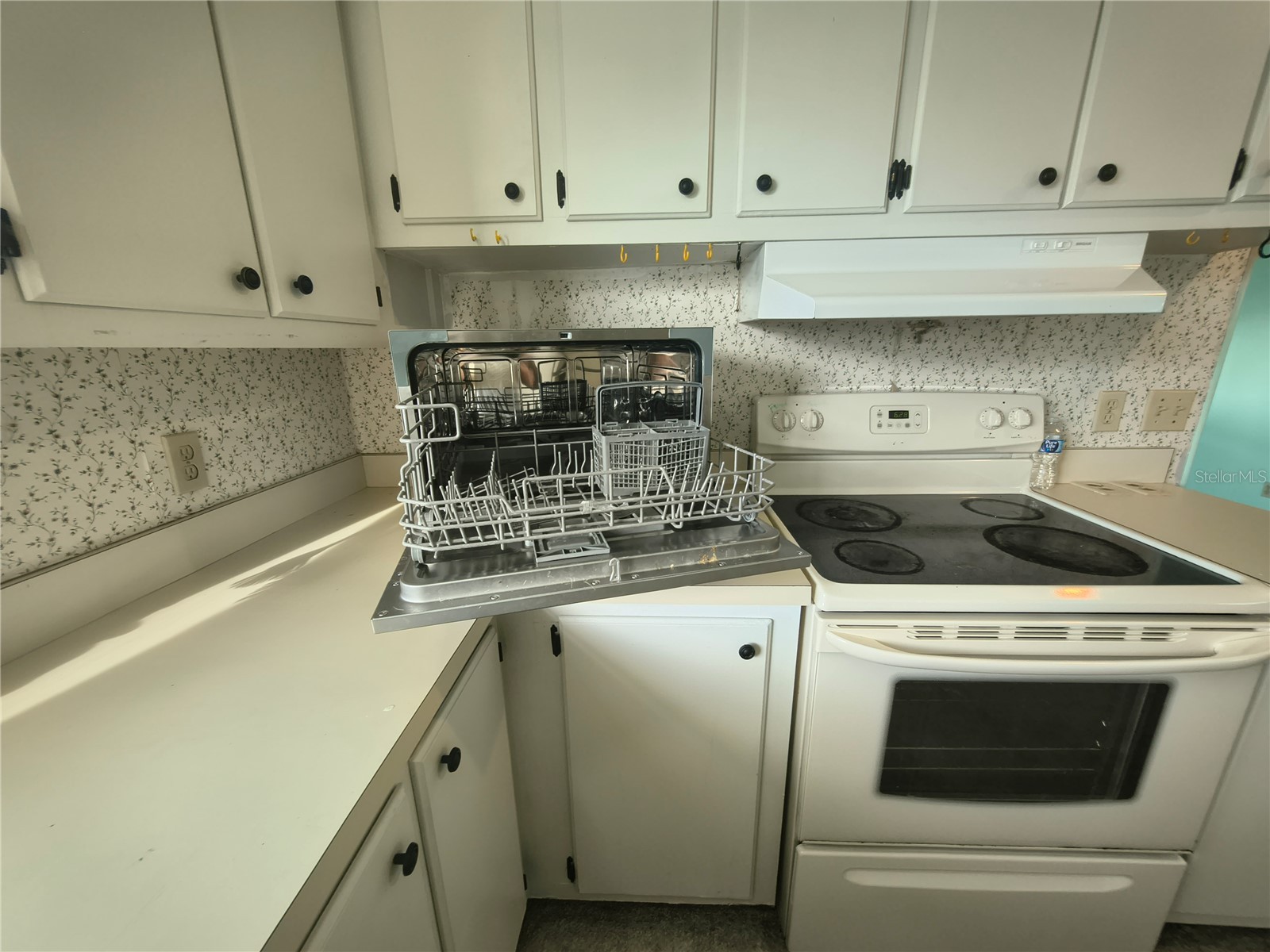 7306 Grand Pine Drive Hudson FL 34667 W7886297 image37