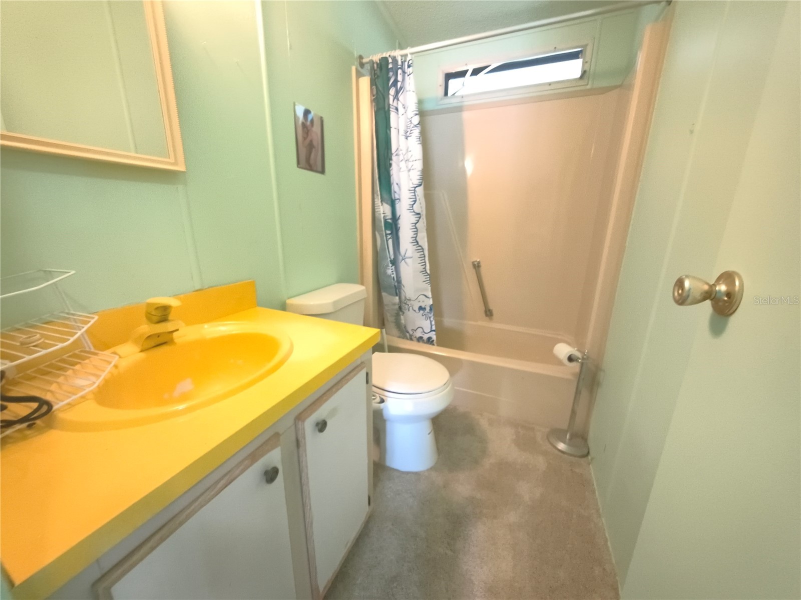 7306 Grand Pine Drive Hudson FL 34667 W7886297 image55