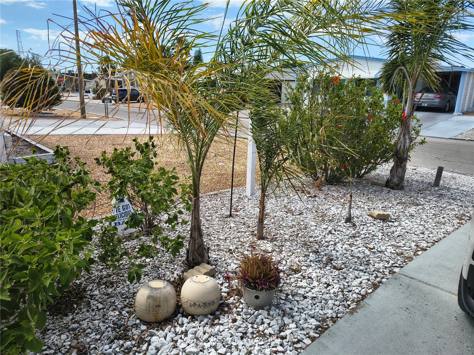 7306 Grand Pine Drive Hudson FL 34667 W7886297 image8