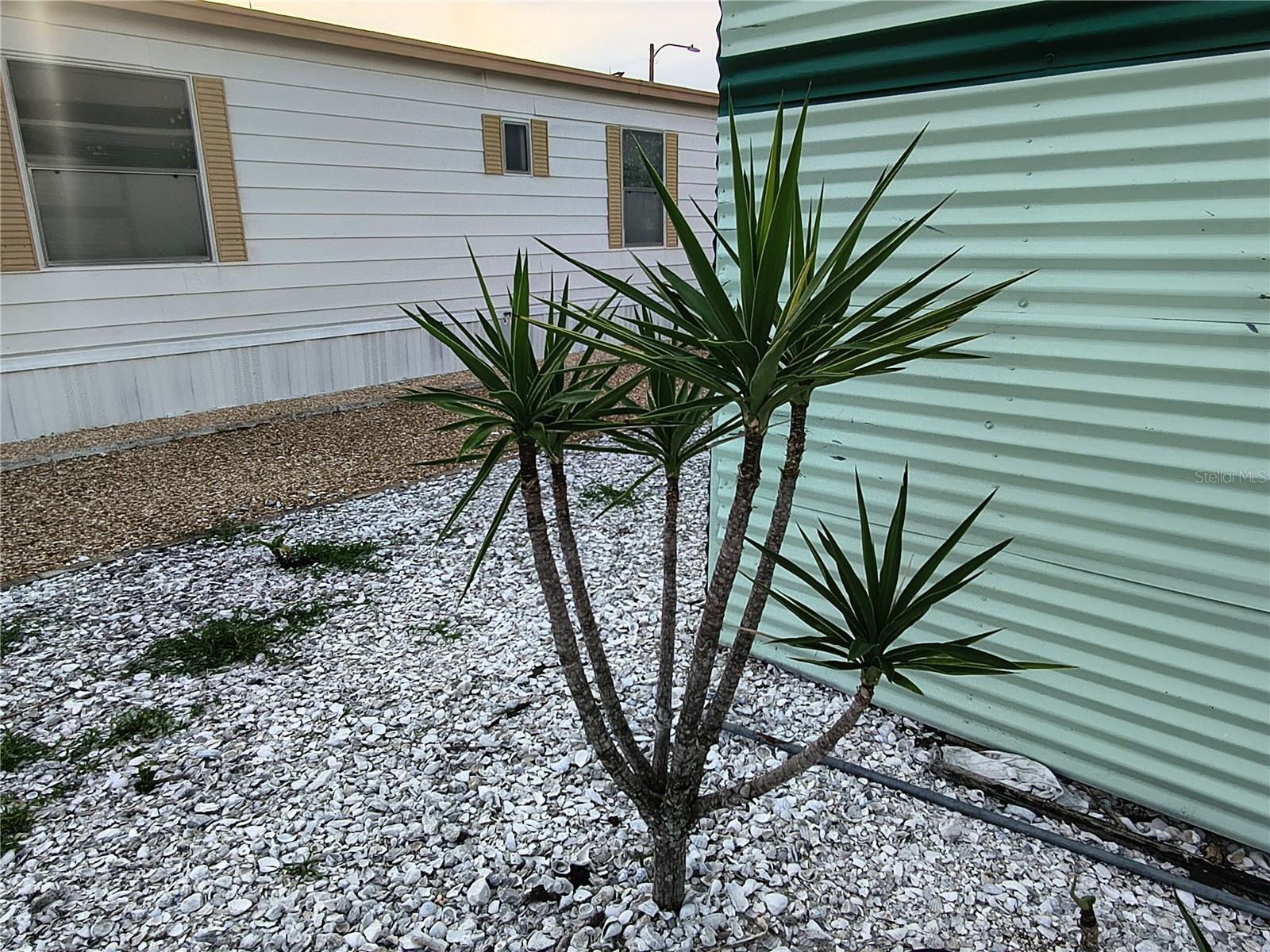 7306 Grand Pine Drive Hudson FL 34667 W7886297 image92