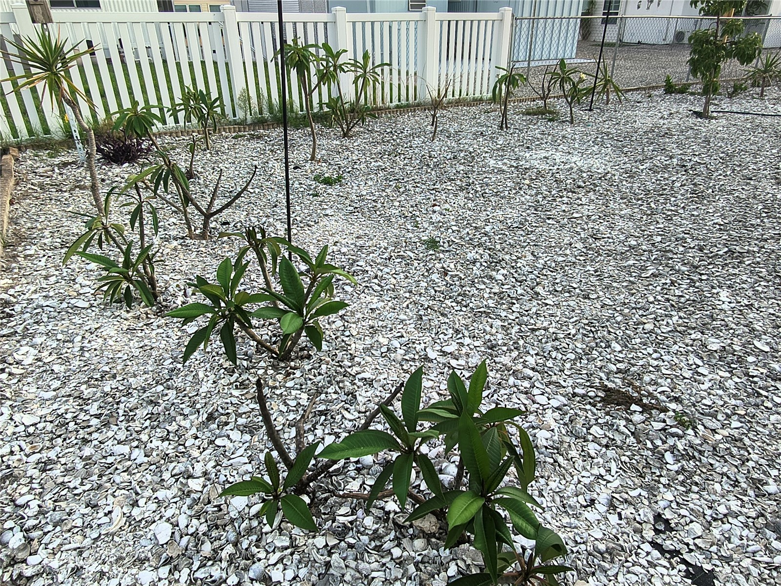 7306 Grand Pine Drive Hudson FL 34667 W7886297 image93