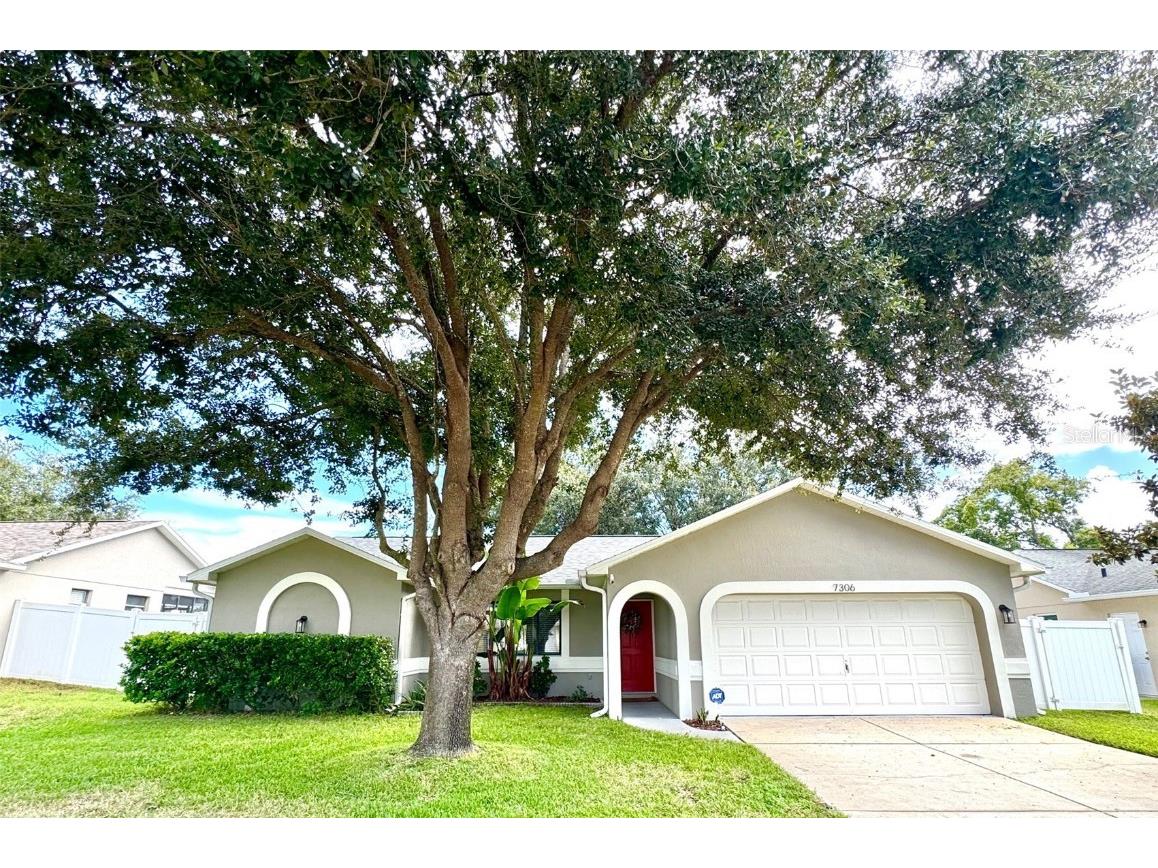 7306 Skyview Avenue New Port Richey FL 34653 TB8434666 image1