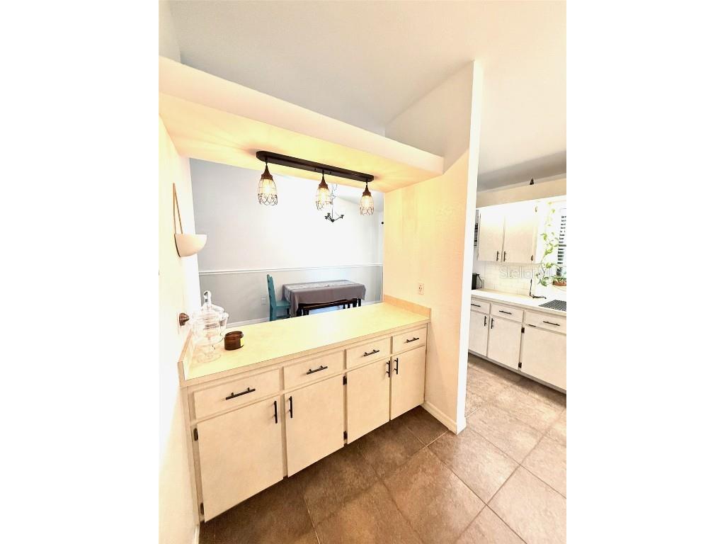 7306 Skyview Avenue New Port Richey FL 34653 TB8434666 image14