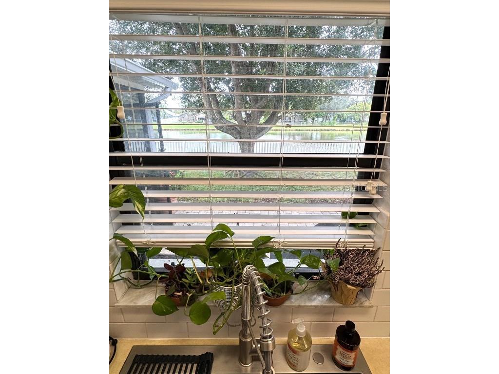 7306 Skyview Avenue New Port Richey FL 34653 TB8434666 image16