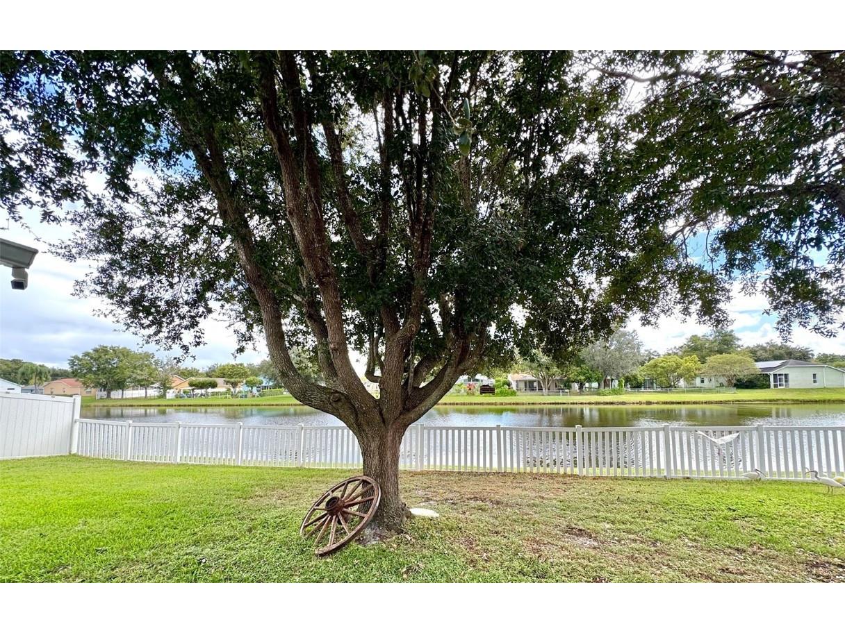 7306 Skyview Avenue New Port Richey FL 34653 TB8434666 image2