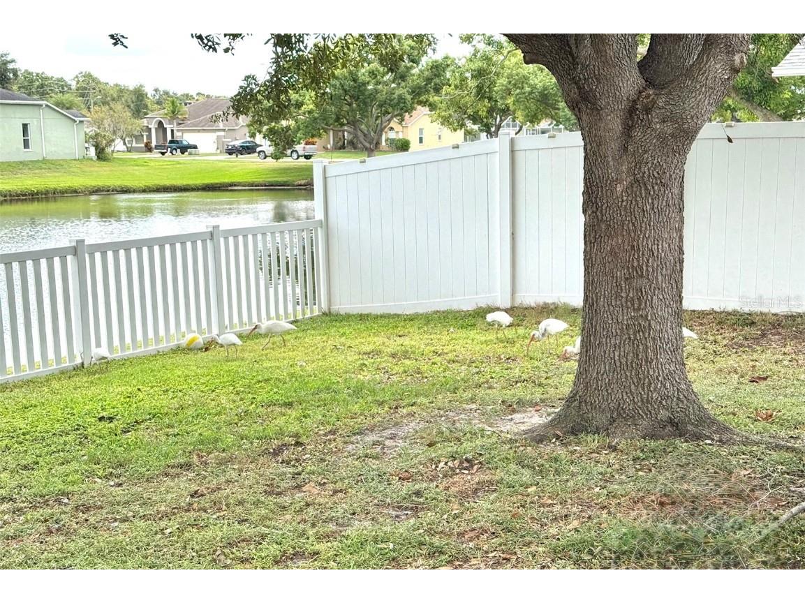 7306 Skyview Avenue New Port Richey FL 34653 TB8434666 image32