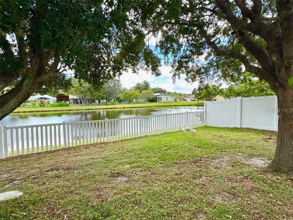 7306 Skyview Avenue New Port Richey FL 34653 TB8434666 image33