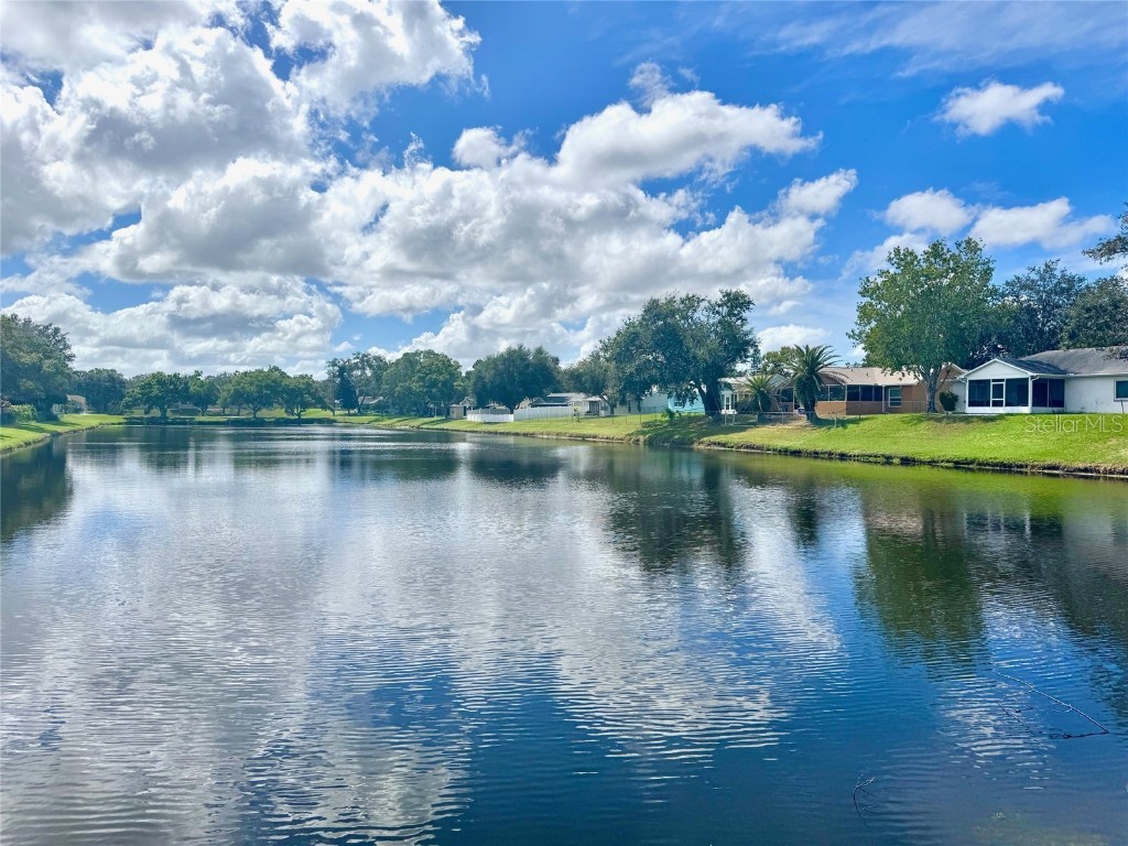 7306 Skyview Avenue New Port Richey FL 34653 TB8434666 image39