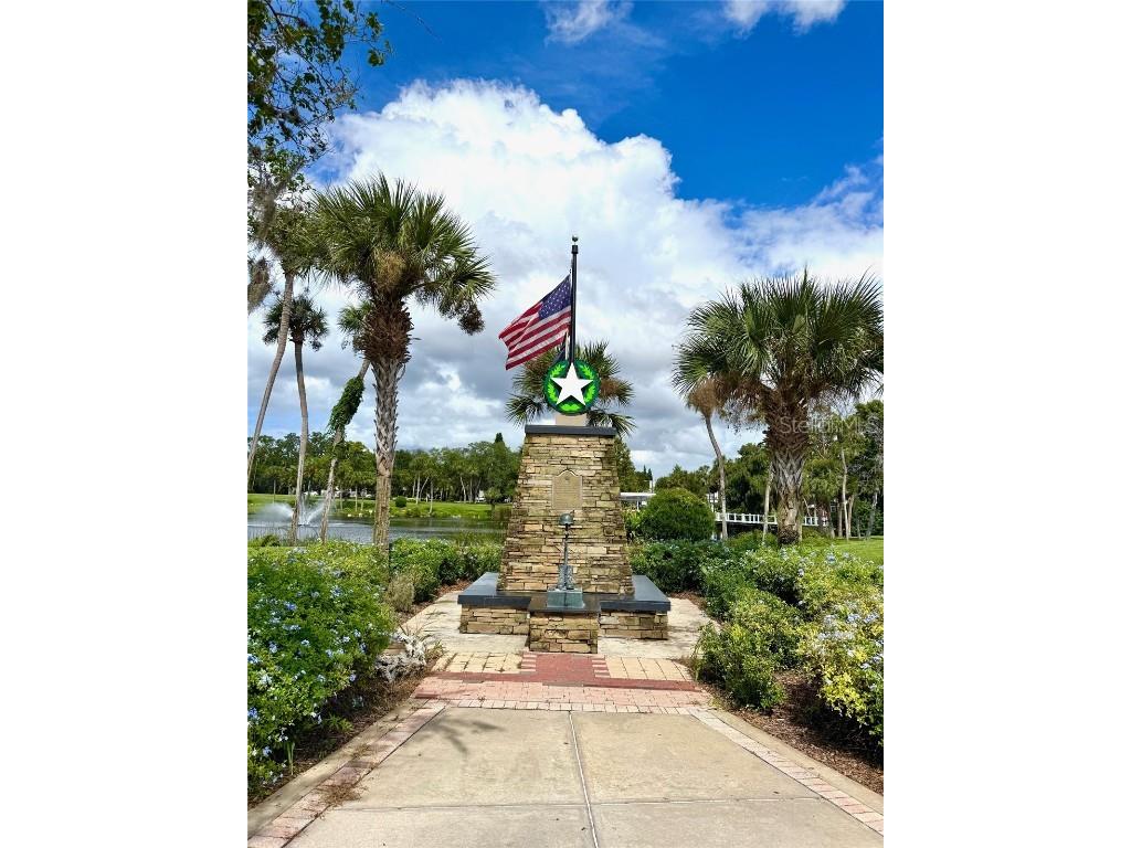 7306 Skyview Avenue New Port Richey FL 34653 TB8434666 image41