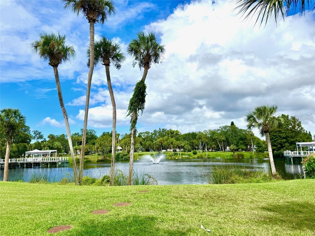 7306 Skyview Avenue New Port Richey FL 34653 TB8434666 image42