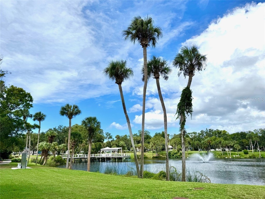 7306 Skyview Avenue New Port Richey FL 34653 TB8434666 image43