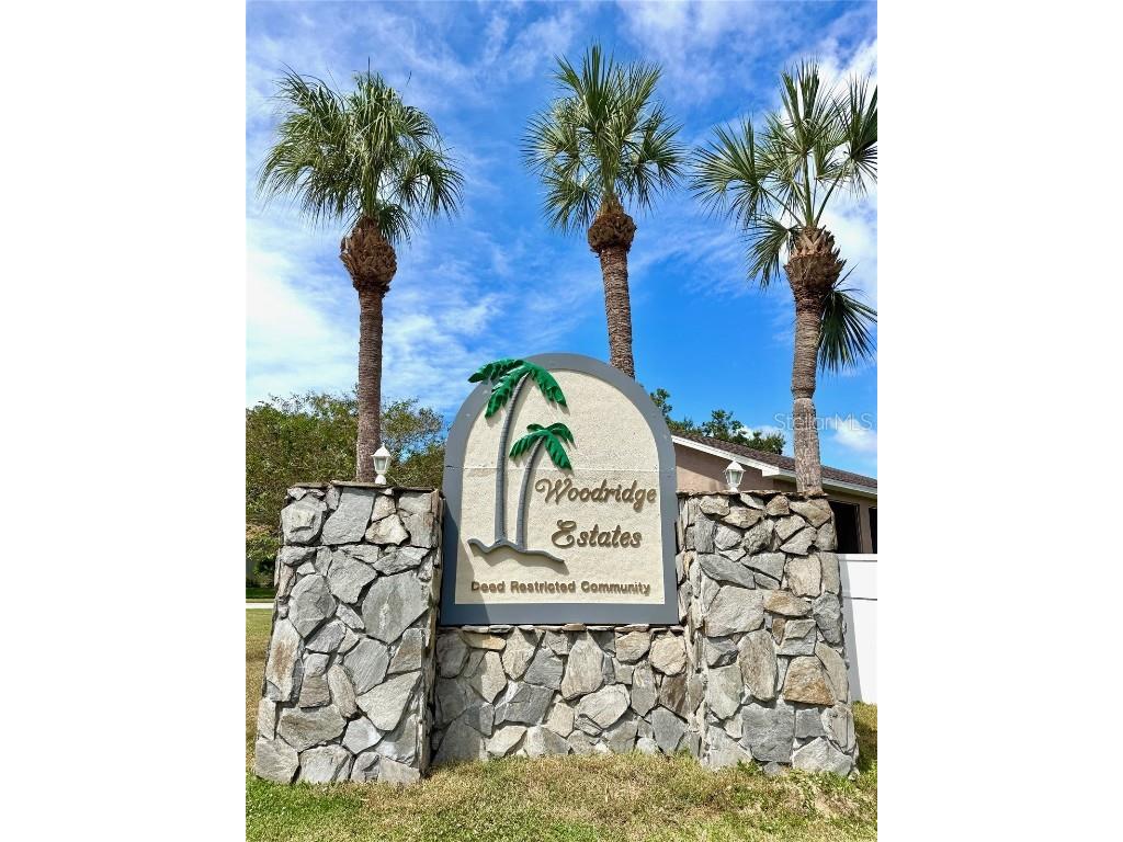 7306 Skyview Avenue New Port Richey FL 34653 TB8434666 image5