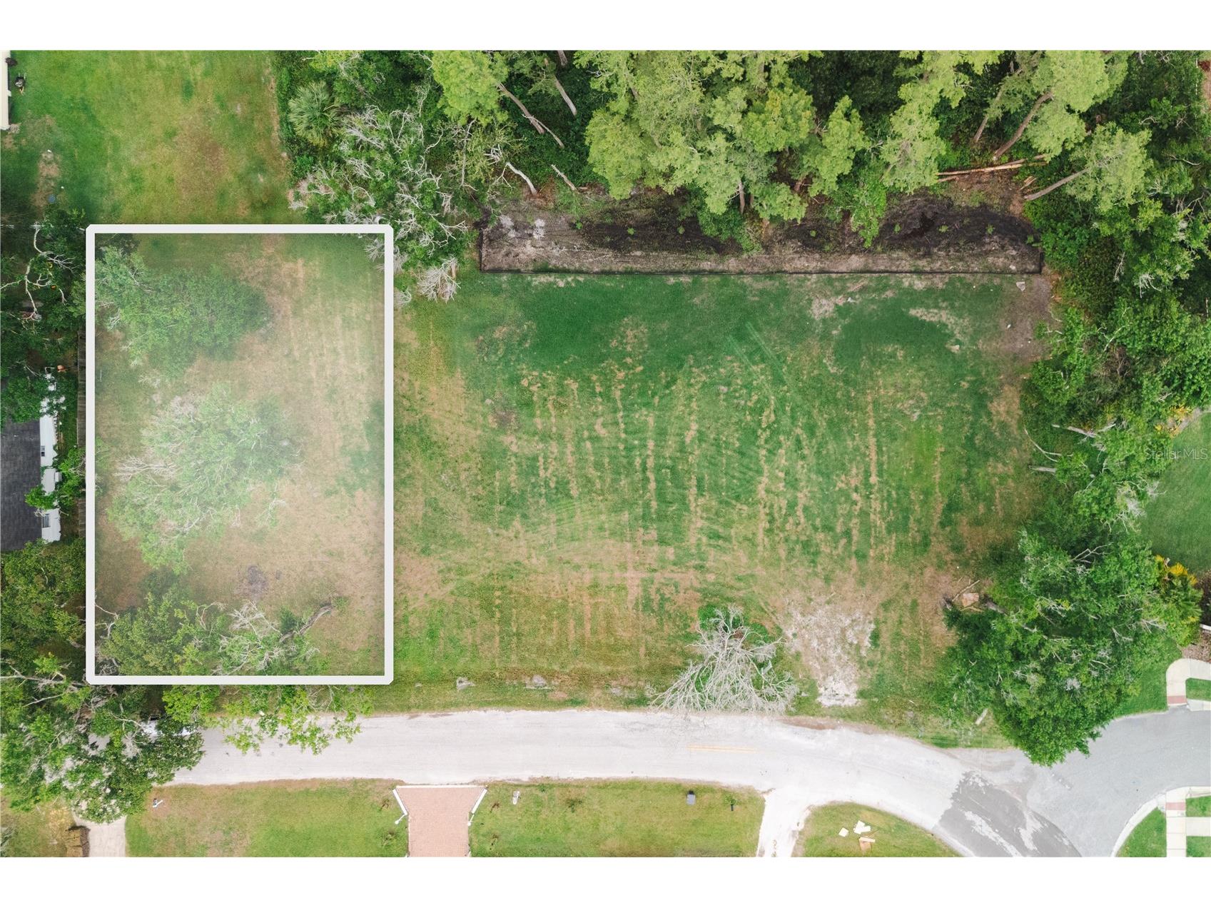 7307 Avonwood Street Tampa FL 33625 TB8462104 image1