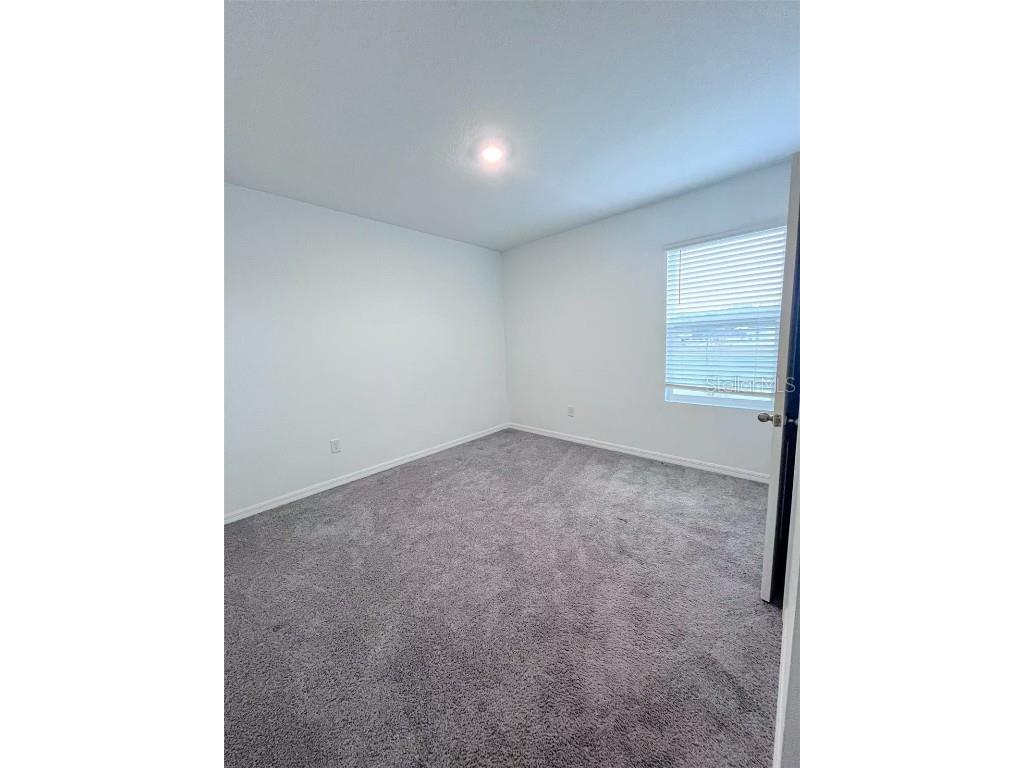 7307 Broad River Land O Lakes FL 34638 TB8453343 image12