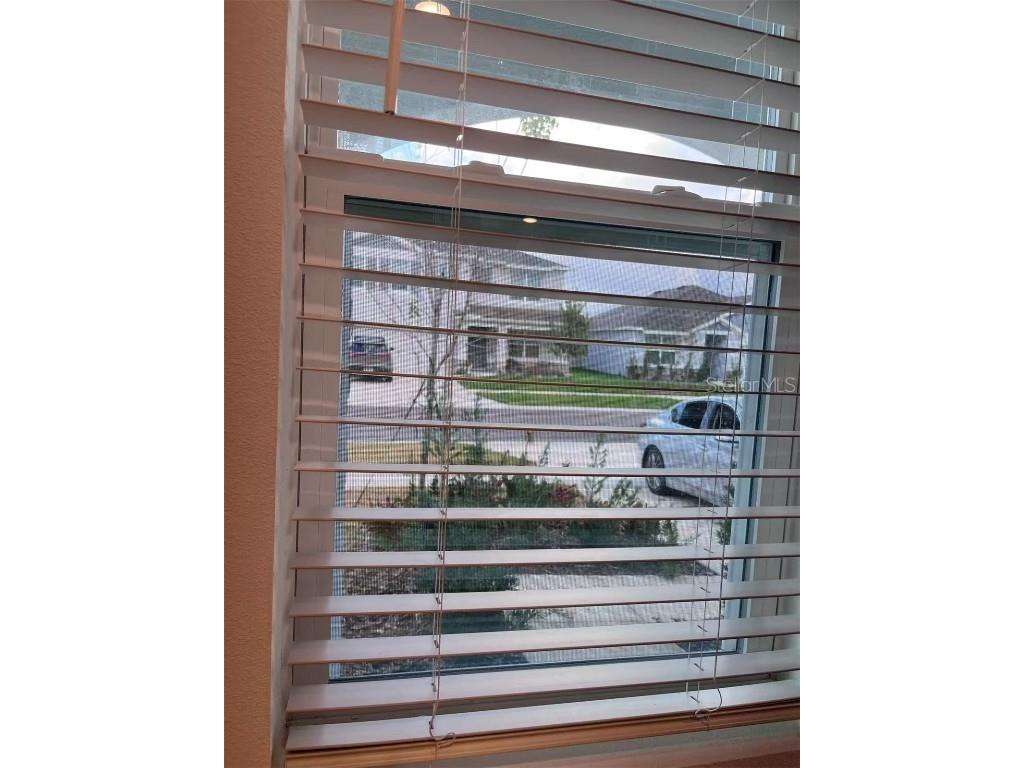 7307 Broad River Land O Lakes FL 34638 TB8453343 image8