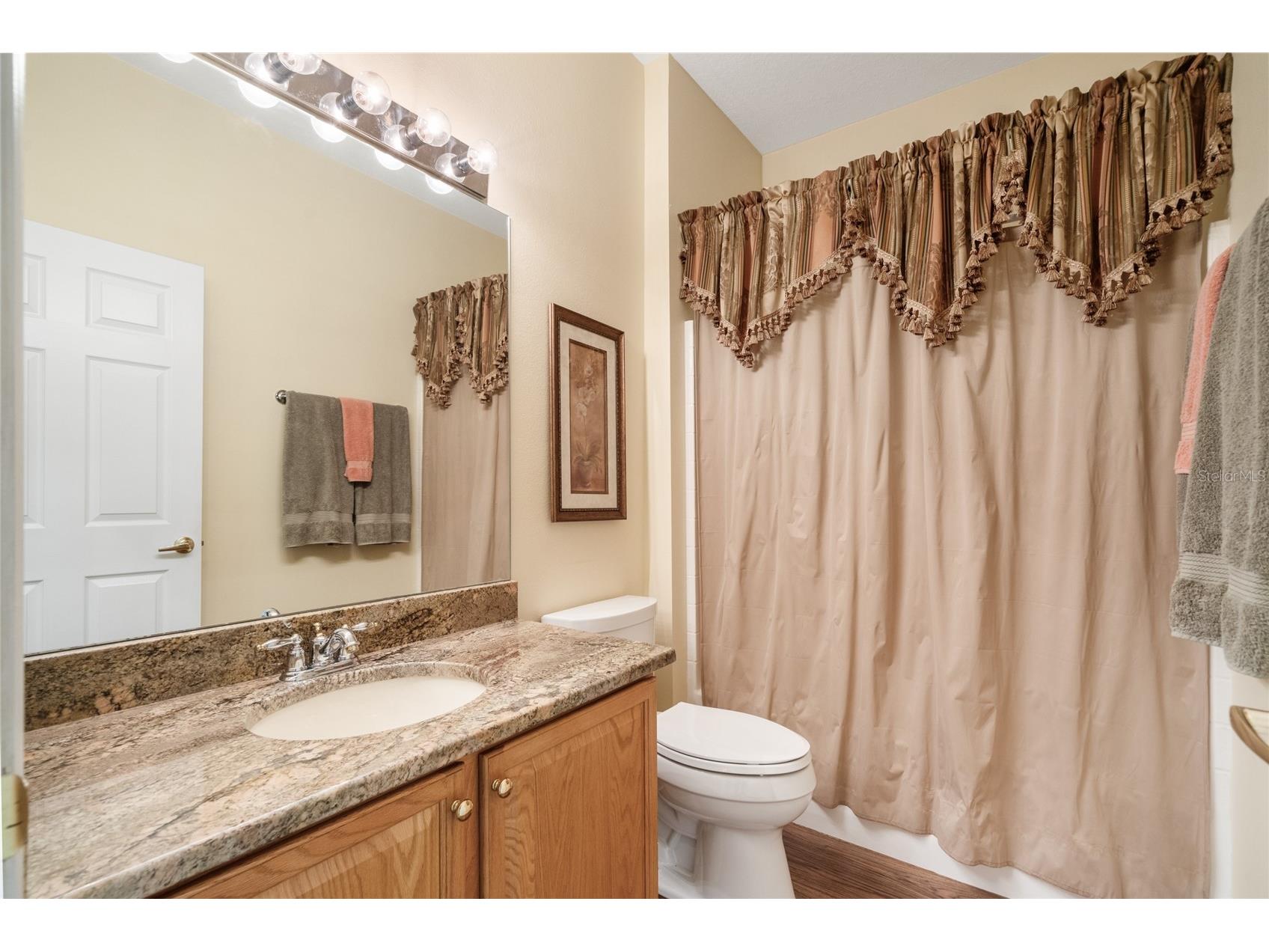 7307 Cleopatra Drive Land O Lakes FL 34637 W7886436 image15