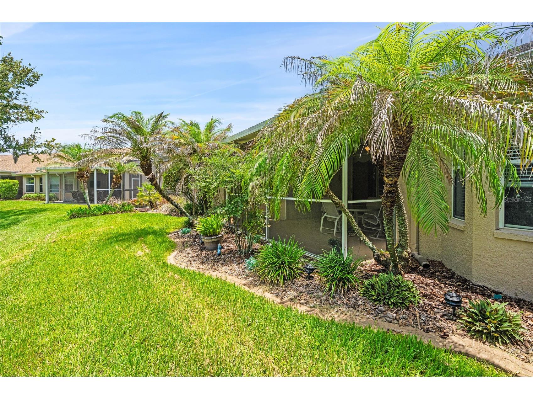 7307 Cleopatra Drive Land O Lakes FL 34637 W7886436 image22