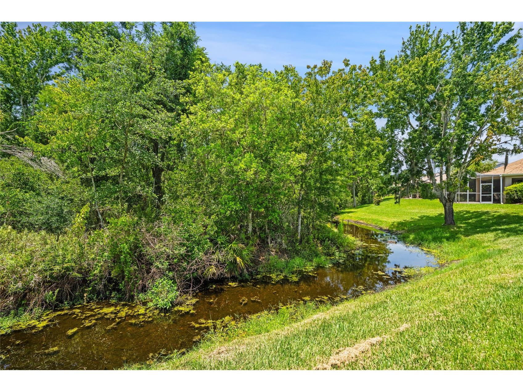 7307 Cleopatra Drive Land O Lakes FL 34637 W7886436 image23