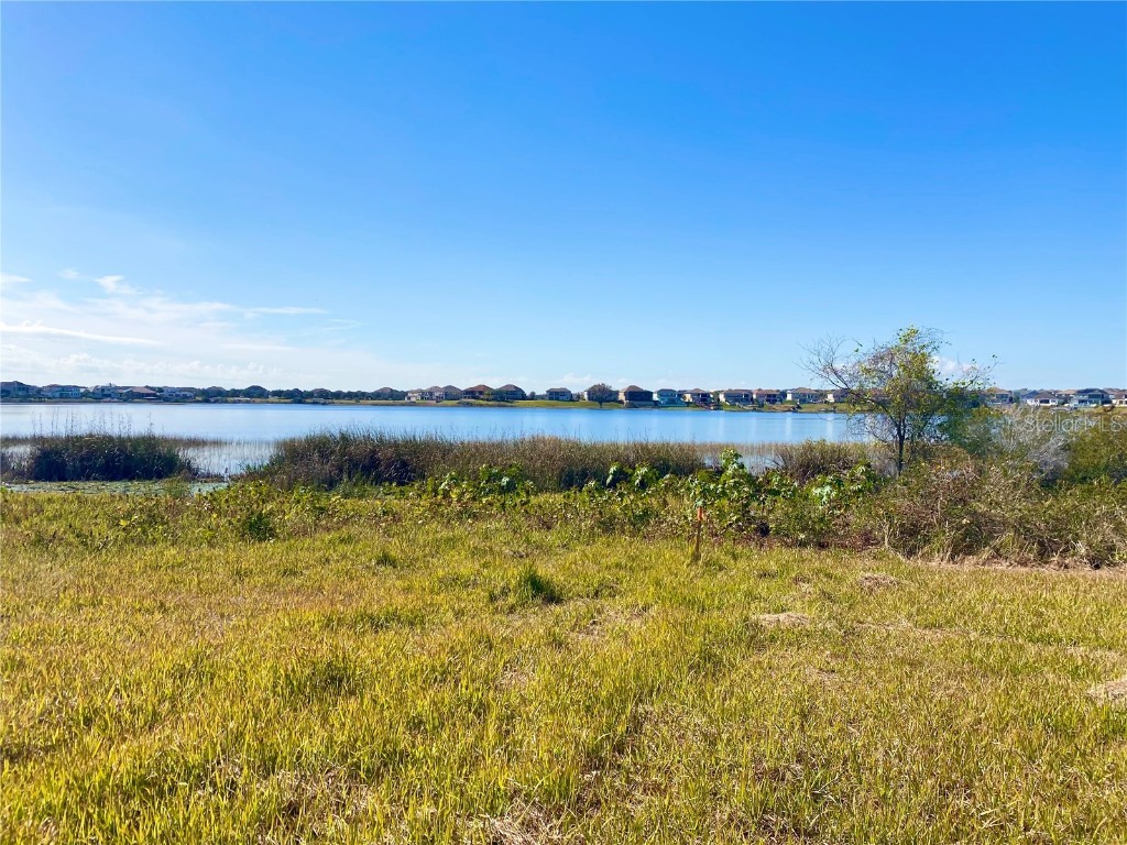 7307 Wild Blackberry Trail, Winter Garden, FL, 34787 MLS O6003415