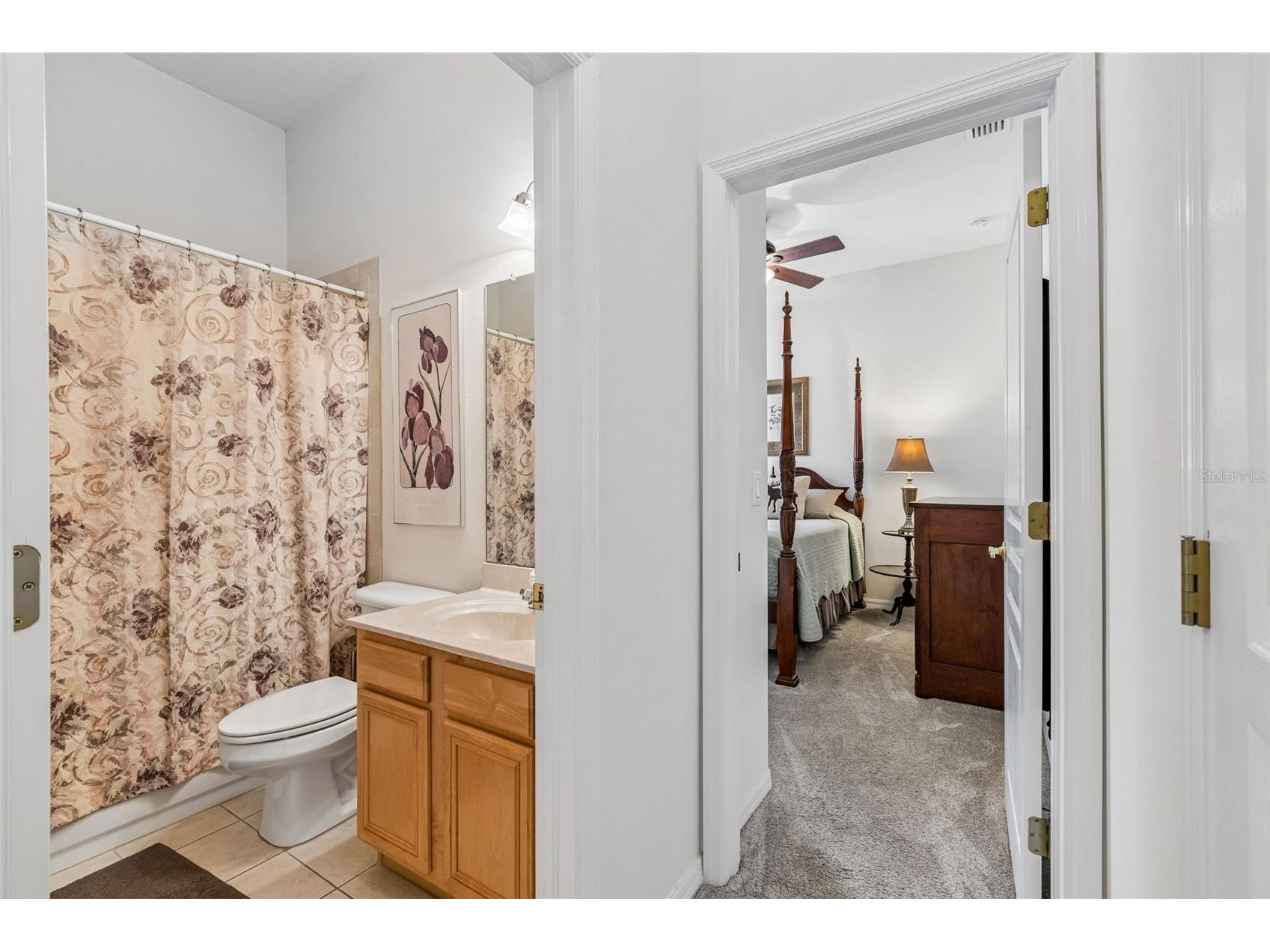 7308 Ambleside Drive Land O Lakes FL 34637 TB8522158 image25