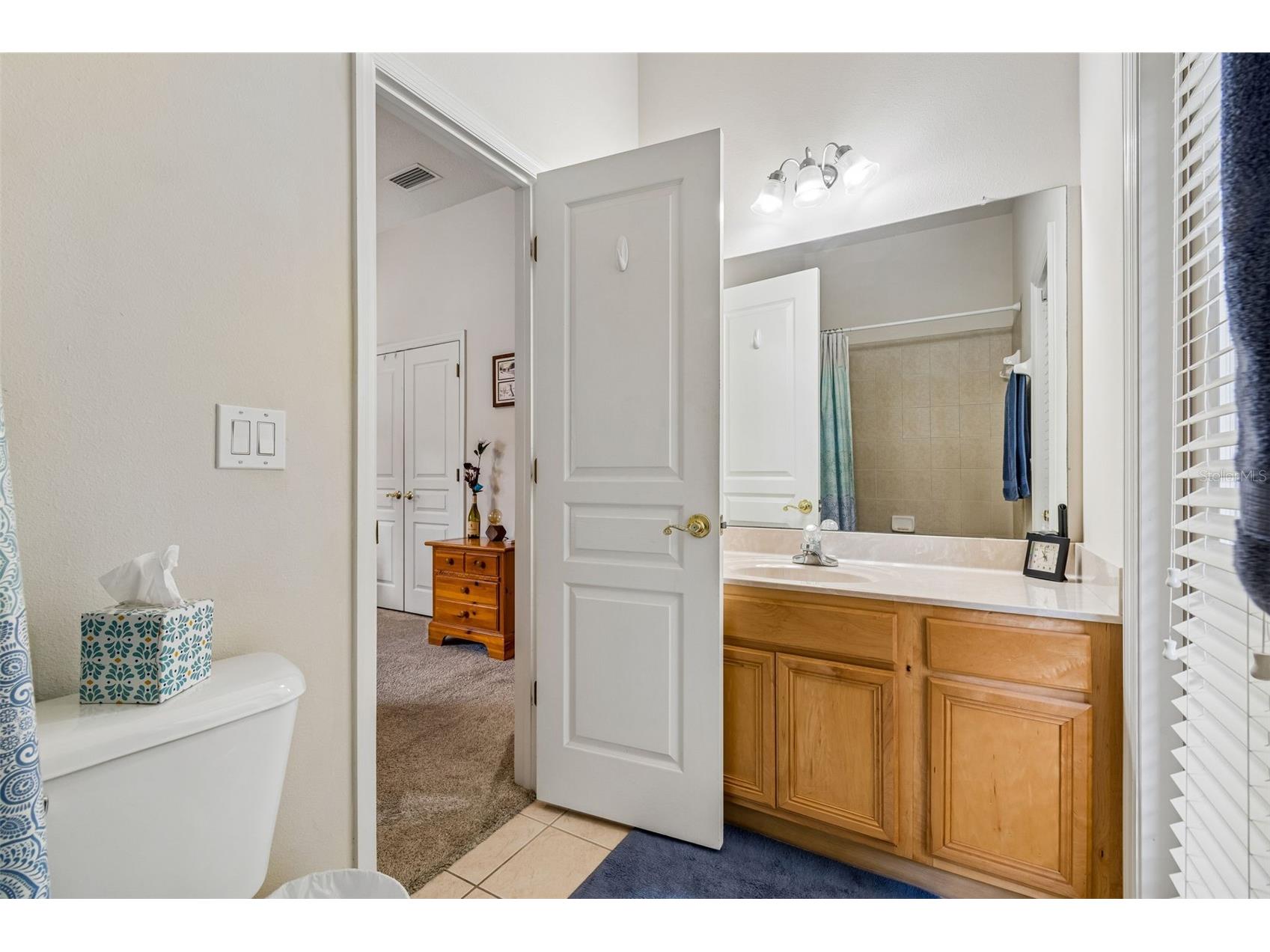 7308 Ambleside Drive Land O Lakes FL 34637 TB8522158 image29
