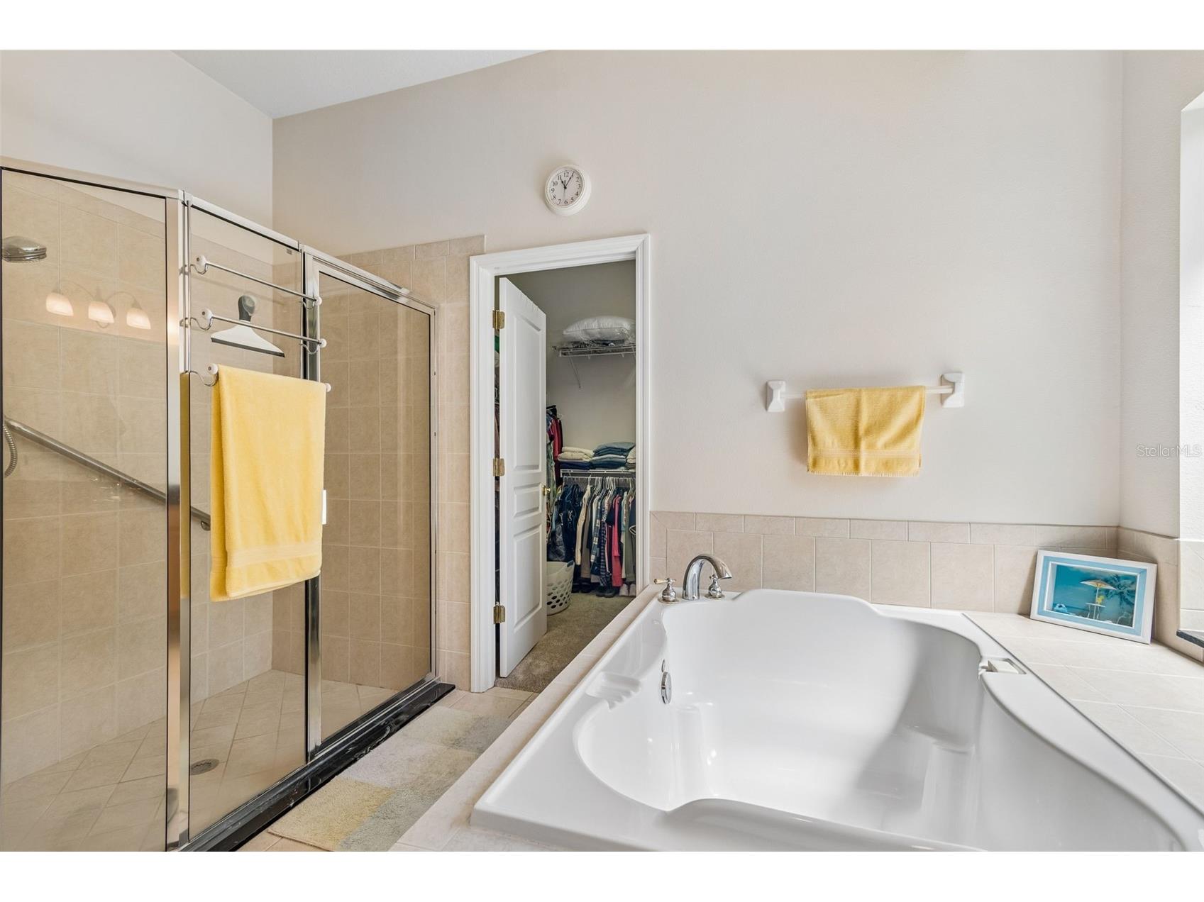 7308 Ambleside Drive Land O Lakes FL 34637 TB8522158 image36
