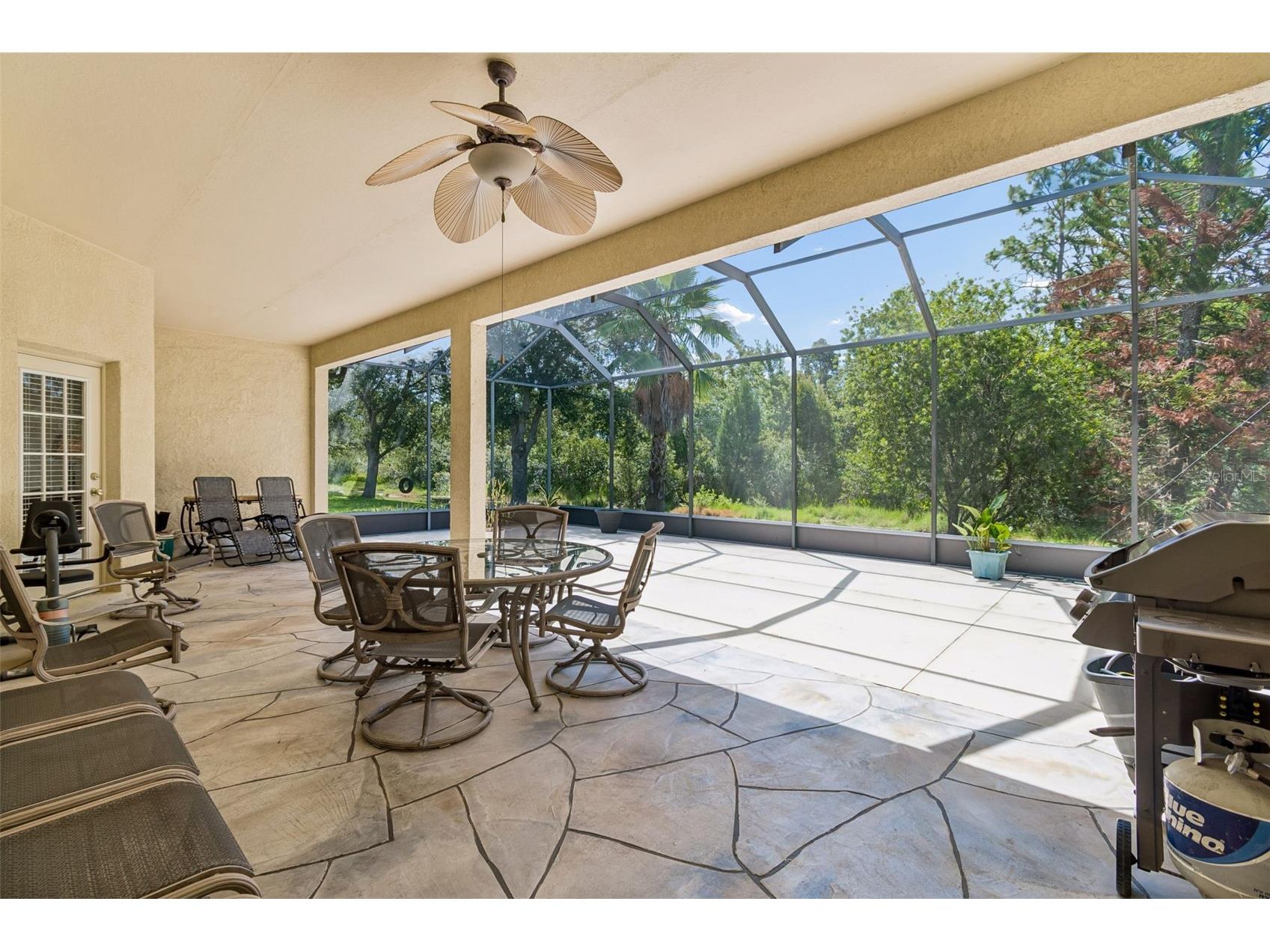7308 Ambleside Drive Land O Lakes FL 34637 TB8522158 image37