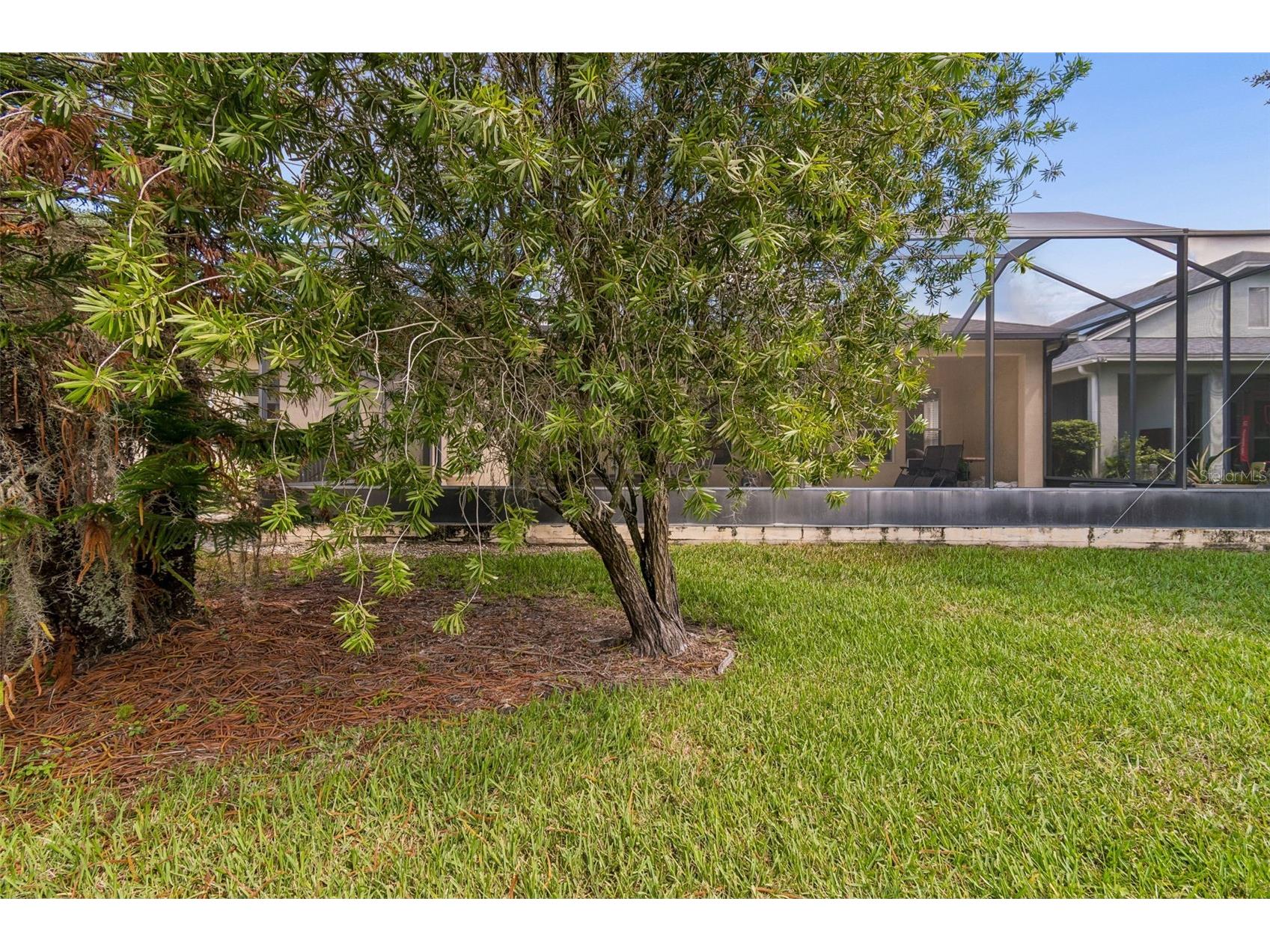 7308 Ambleside Drive Land O Lakes FL 34637 TB8522158 image41