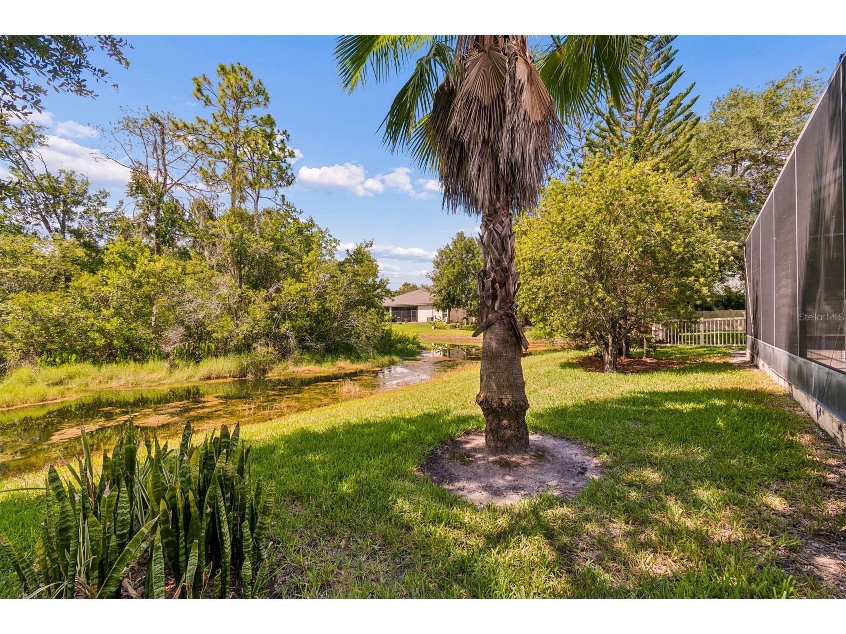 7308 Ambleside Drive Land O Lakes FL 34637 TB8522158 image42
