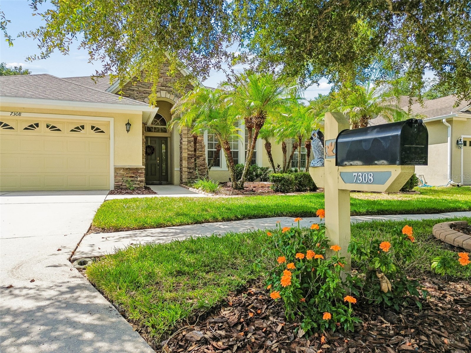 7308 Ambleside Drive Land O Lakes FL 34637 TB8522158 image43