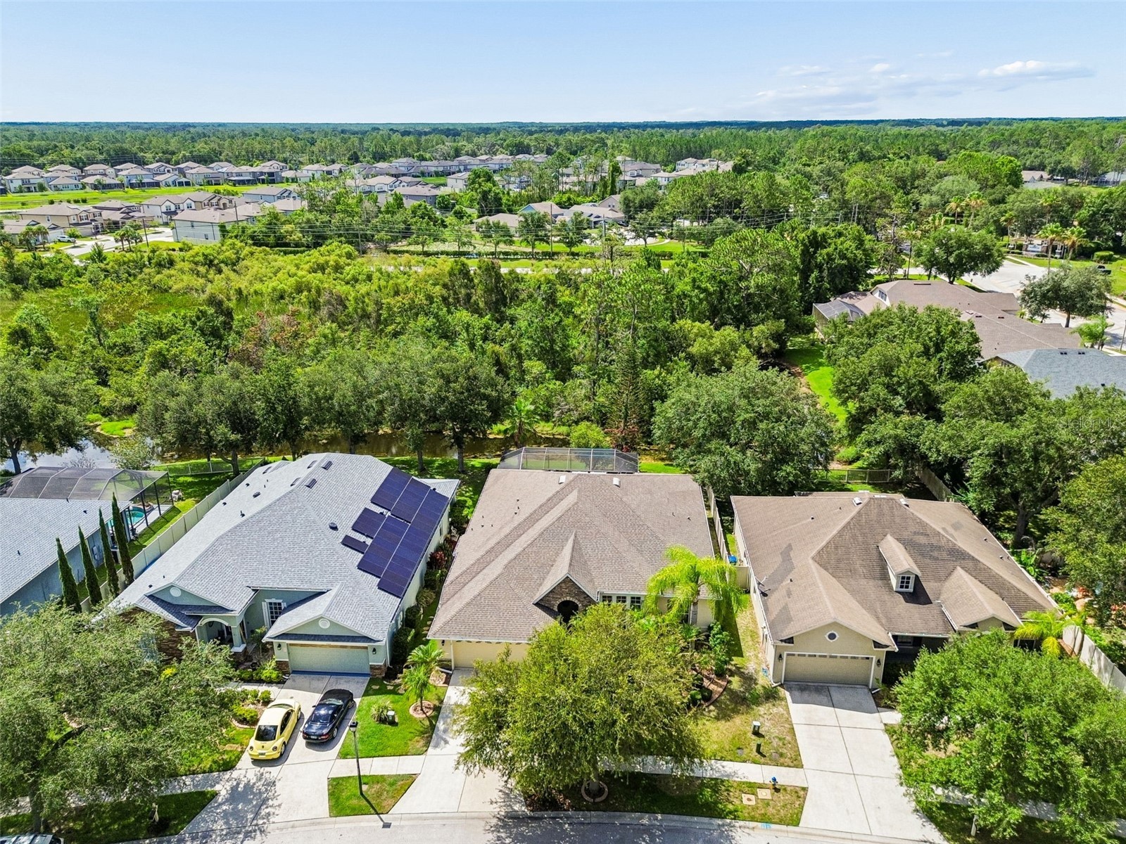 7308 Ambleside Drive Land O Lakes FL 34637 TB8522158 image44