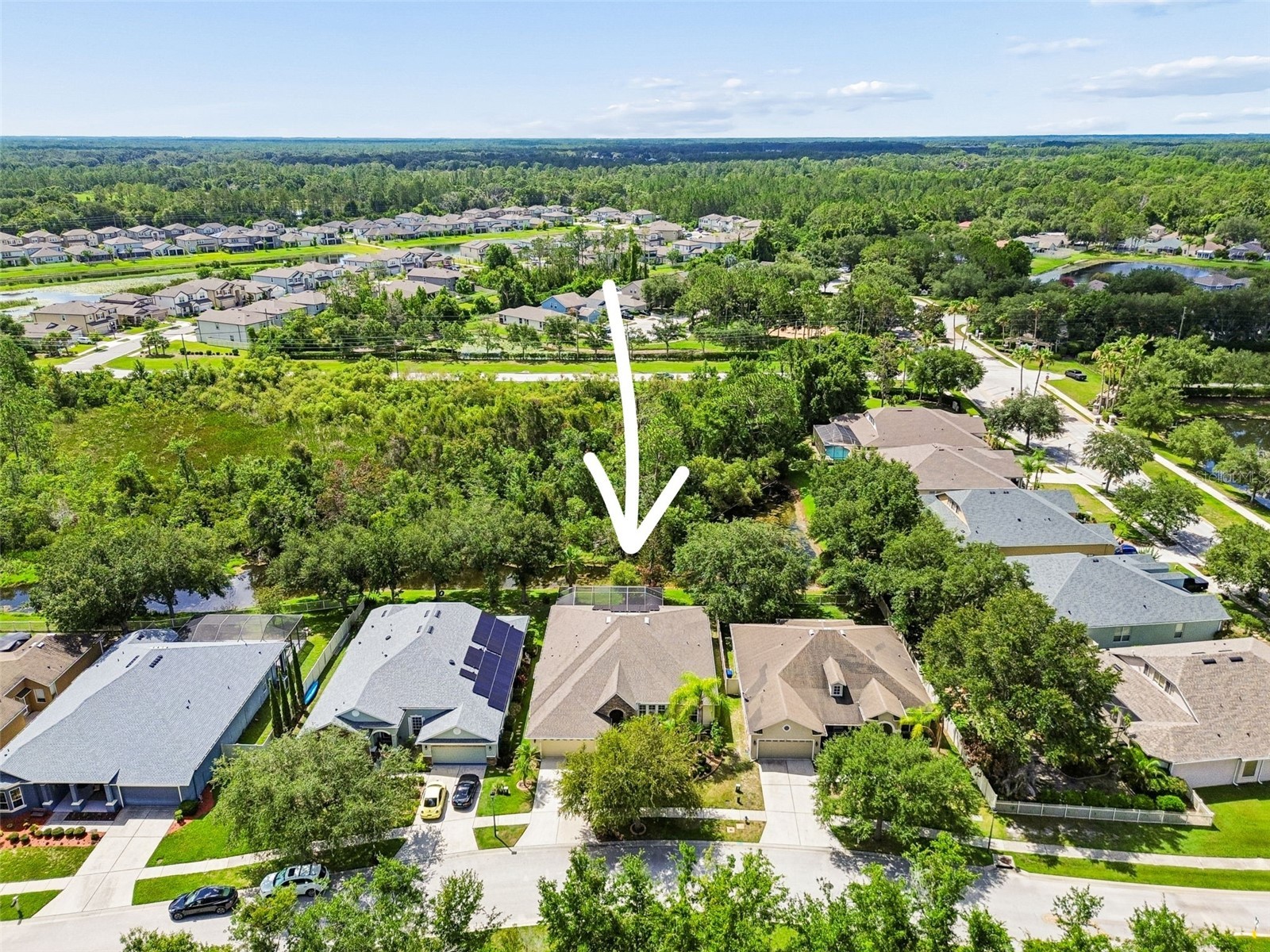 7308 Ambleside Drive Land O Lakes FL 34637 TB8522158 image45